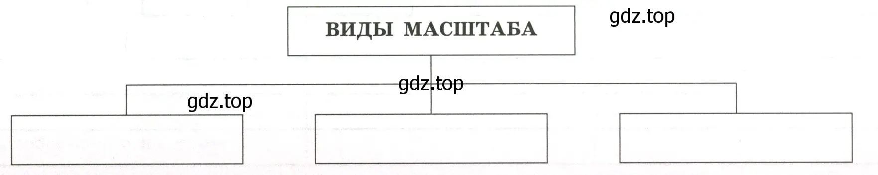 определение каждого вида масштаба. Как он изображается? Что показывает? Для чего используется?