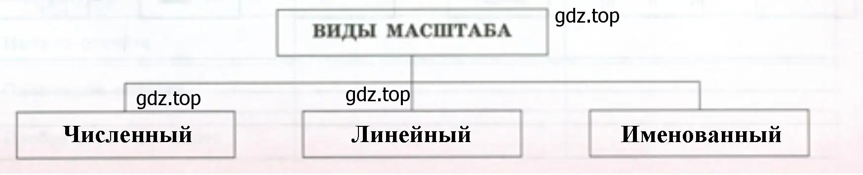 определение каждого вида масштаба. Как он изображается? Что показывает? Для чего используется?