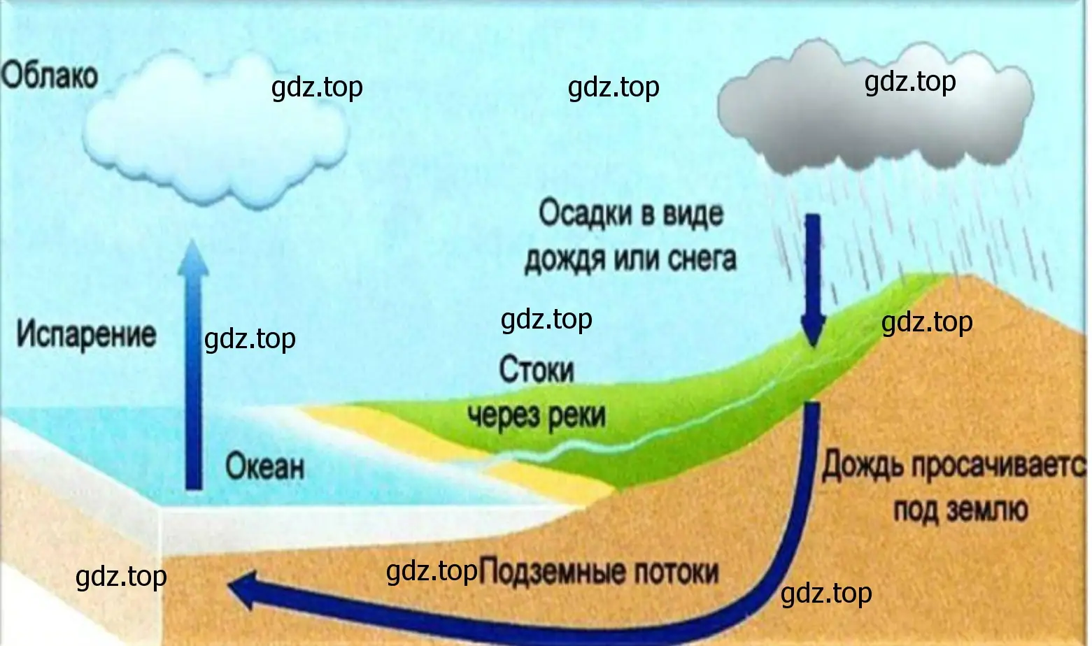 Вода испарившаяся с поверхности океана и унесенная в виде облаков на сушу