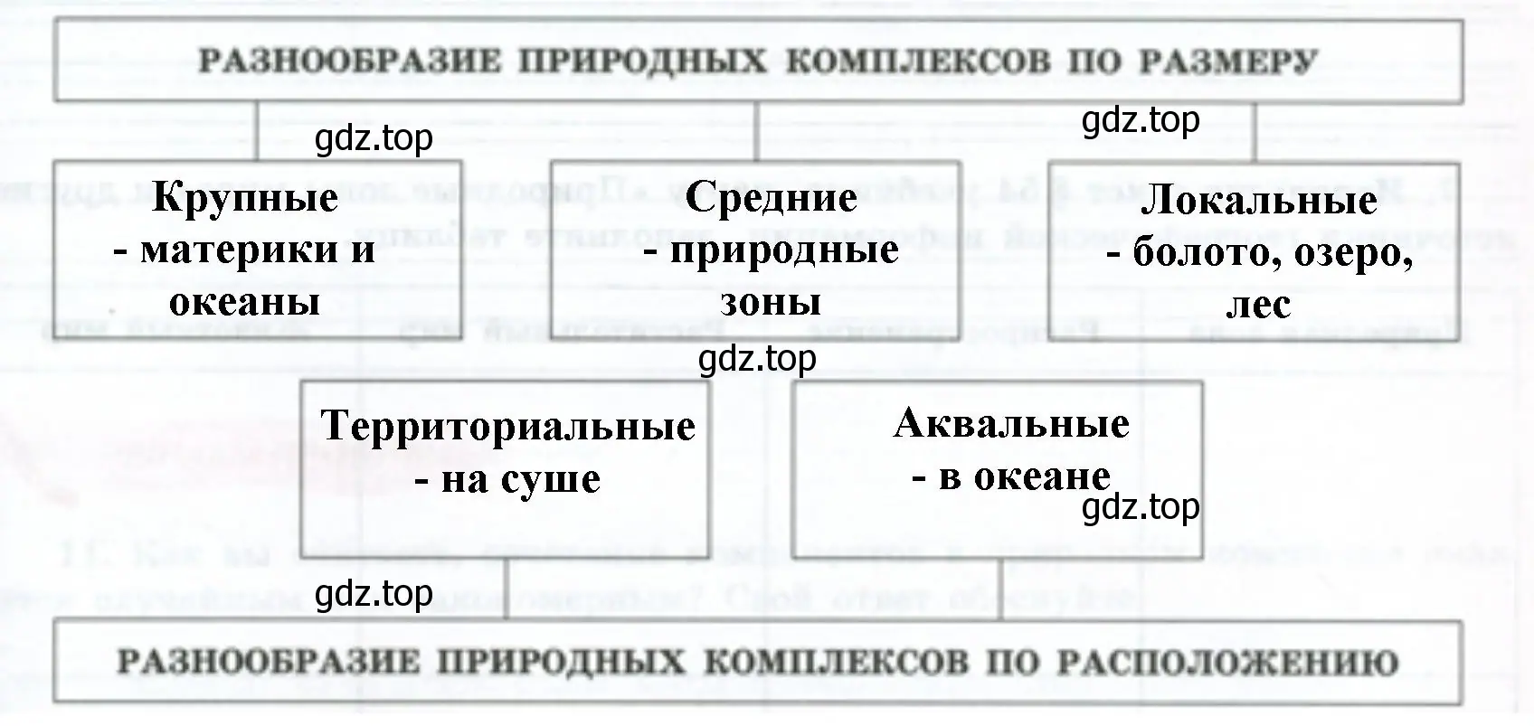 Заполнить схему «Разнообразие природных комплексов» примерами