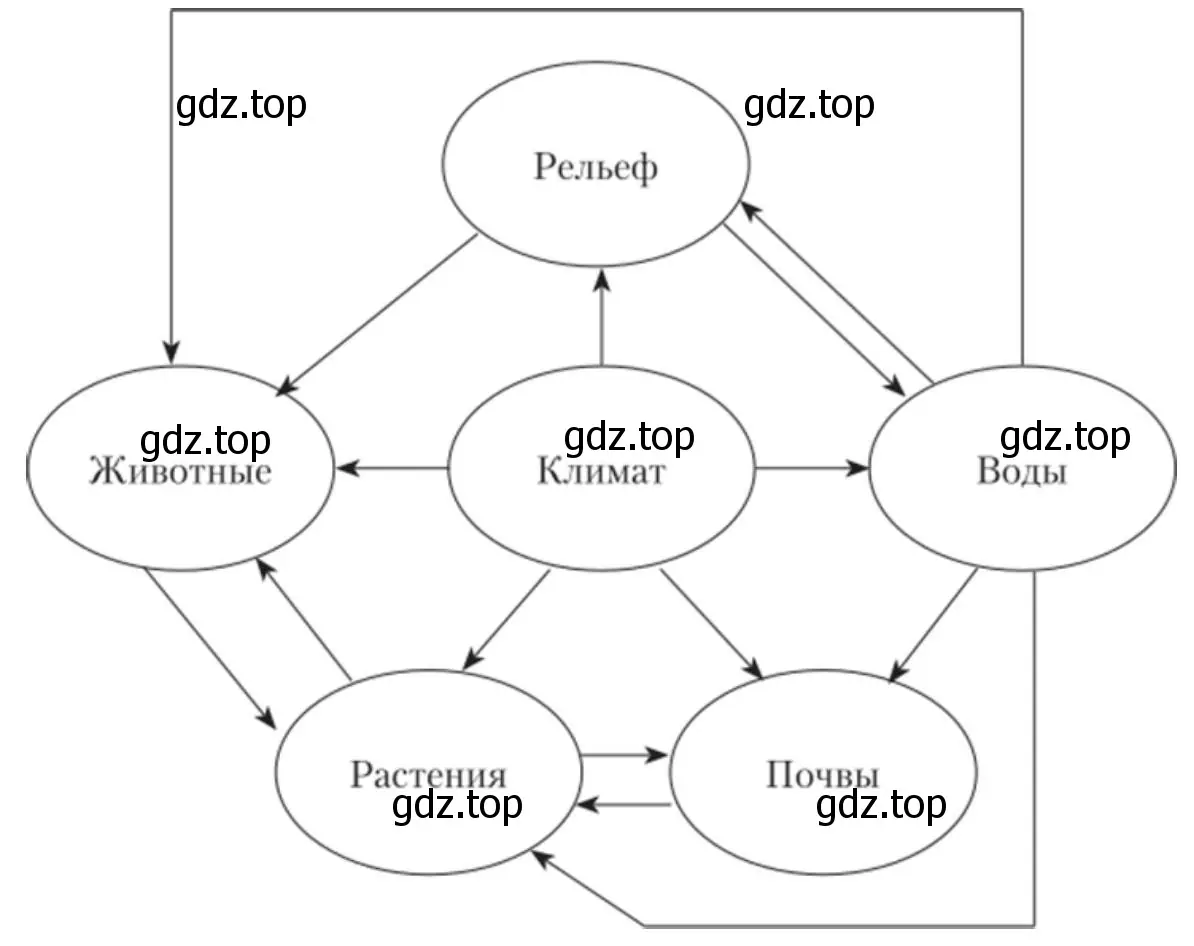 составьте схему взаимосвязей между компонентами природного комплекса.