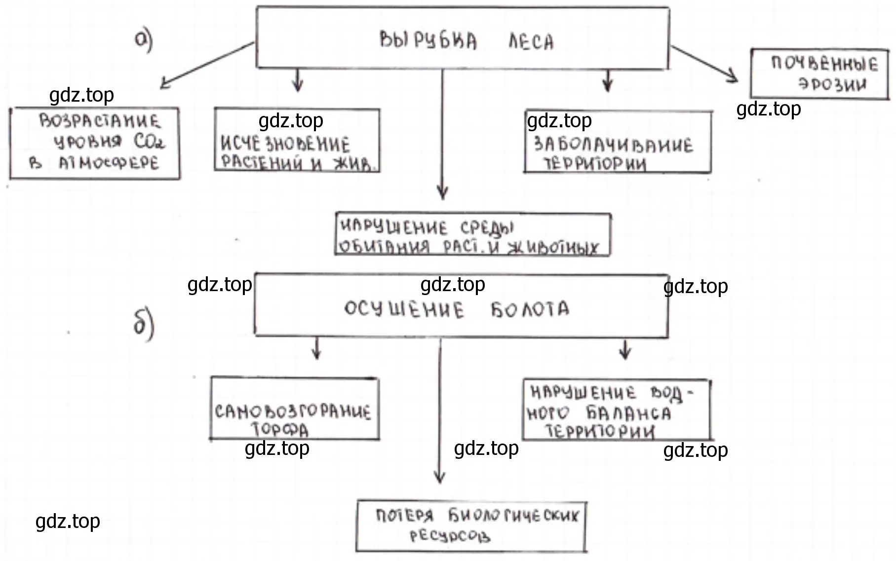 схема, к каким изменениям в природном комплексе приведёт вырубка лесов, осушение болота