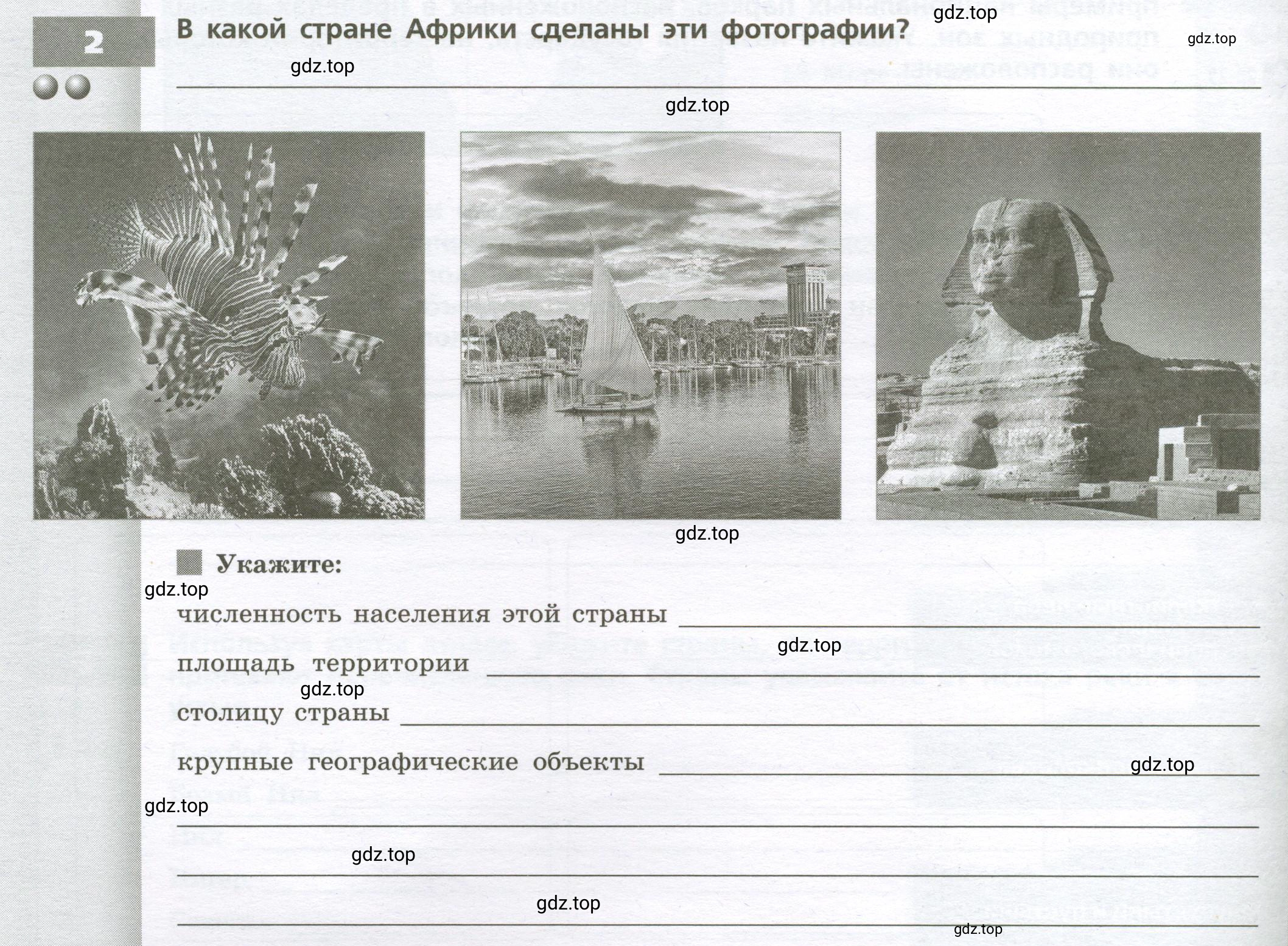 Условие номер 2 (страница 36) гдз по географии 7 класс Мишняева, Котляр, тетрадь-тренажёр