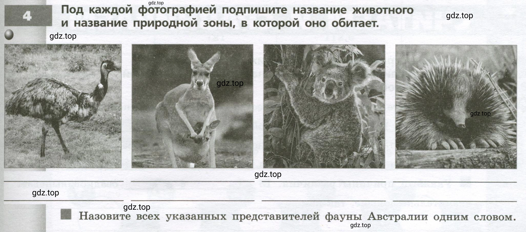 Условие номер 4 (страница 55) гдз по географии 7 класс Мишняева, Котляр, тетрадь-тренажёр