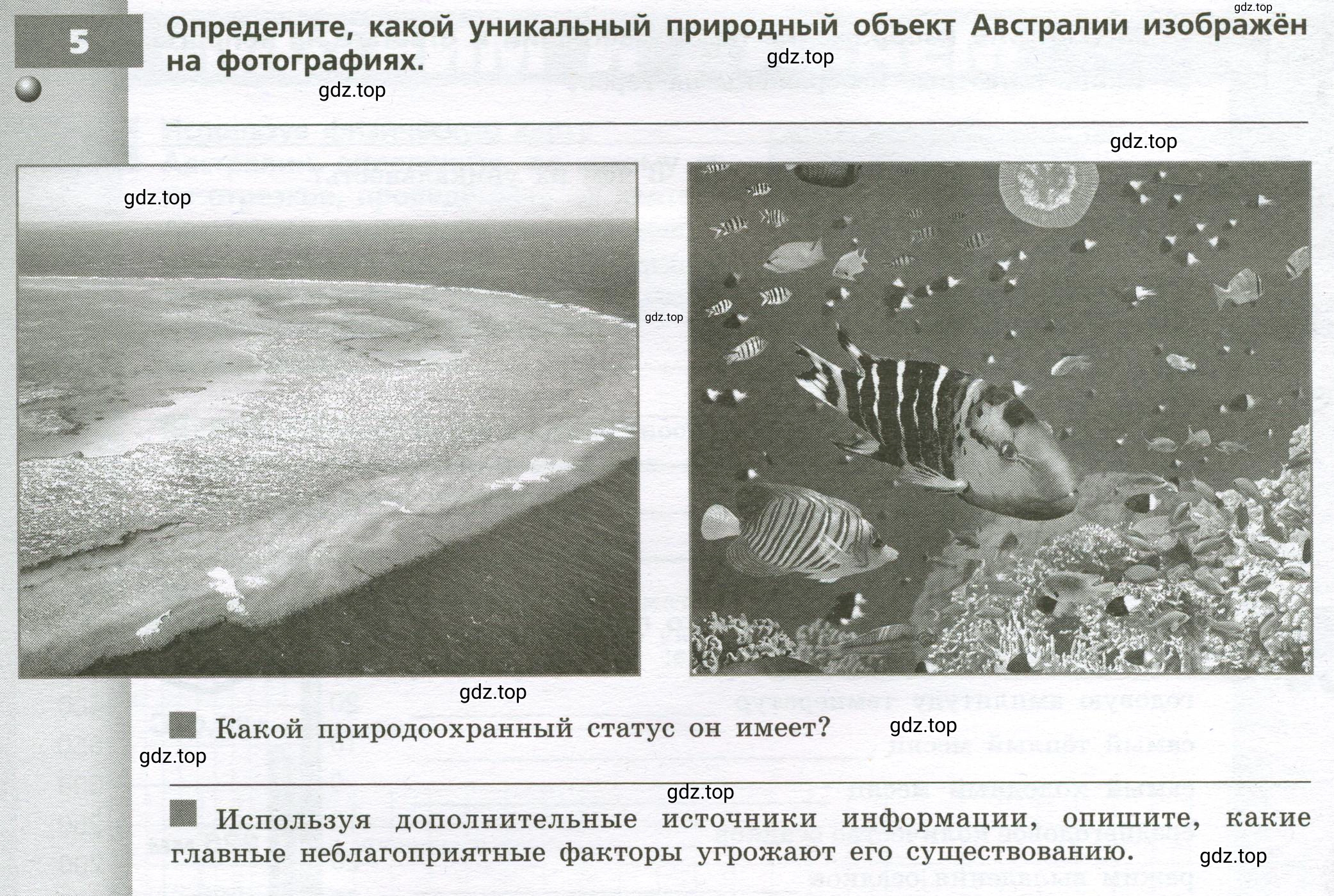 Условие номер 5 (страница 56) гдз по географии 7 класс Мишняева, Котляр, тетрадь-тренажёр
