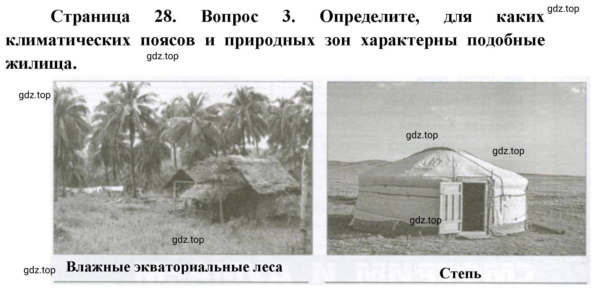 Решение номер 3 (страница 28) гдз по географии 7 класс Мишняева, Котляр, тетрадь-тренажёр