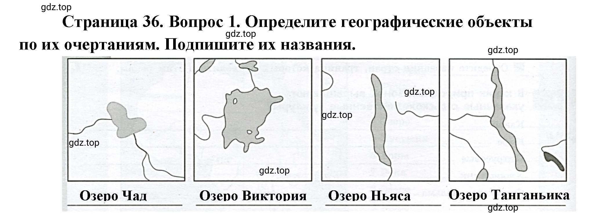 Решение номер 1 (страница 36) гдз по географии 7 класс Мишняева, Котляр, тетрадь-тренажёр