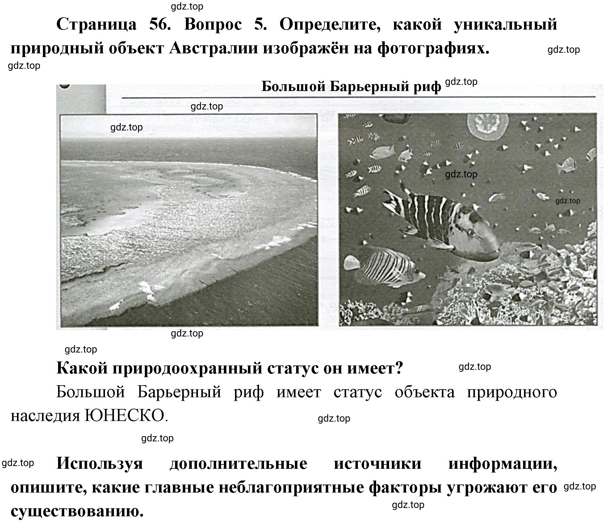 Решение номер 5 (страница 56) гдз по географии 7 класс Мишняева, Котляр, тетрадь-тренажёр