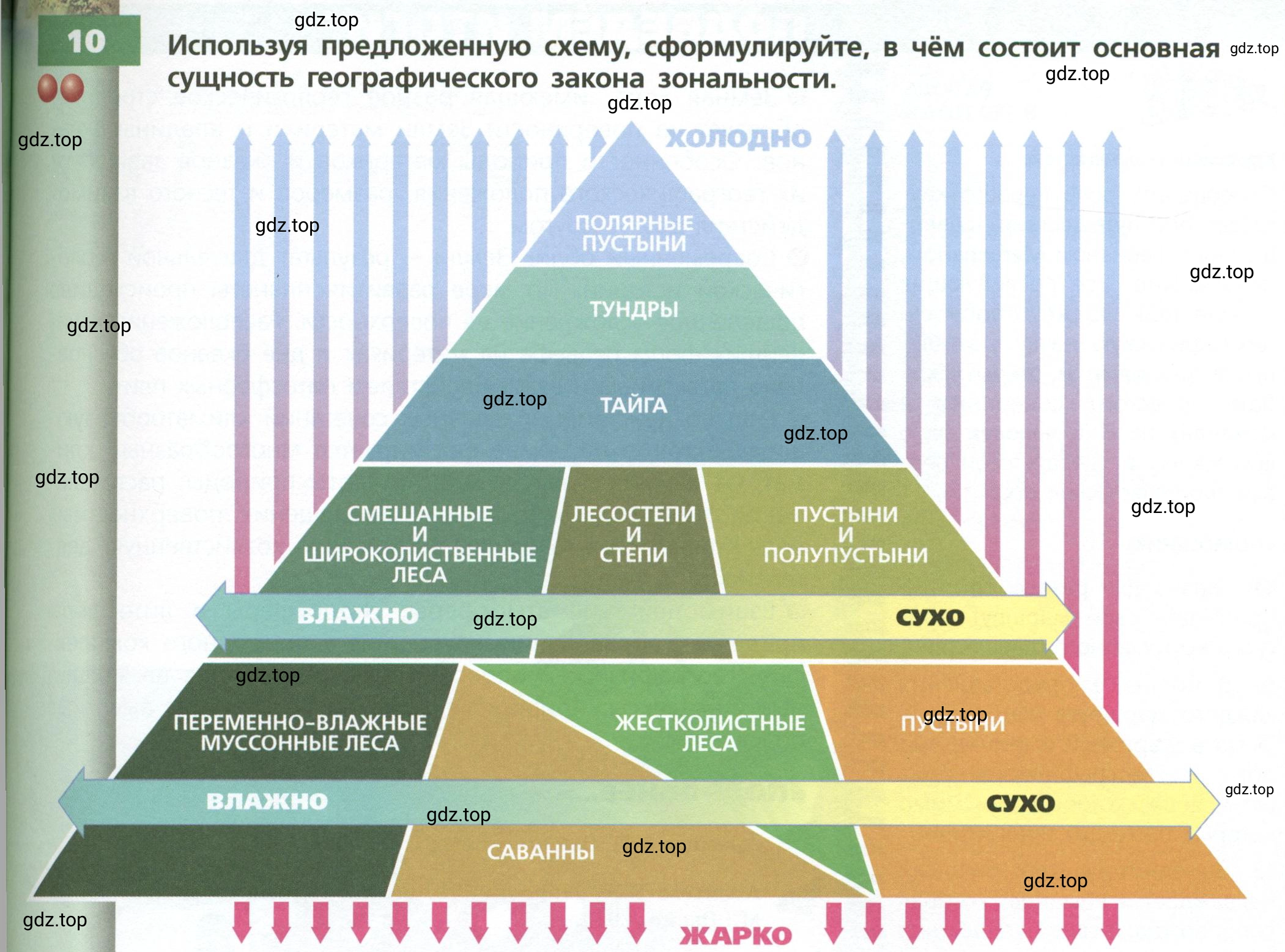 Условие номер 10 (страница 59) гдз по географии 7 класс Кузнецов, Савельева, учебник