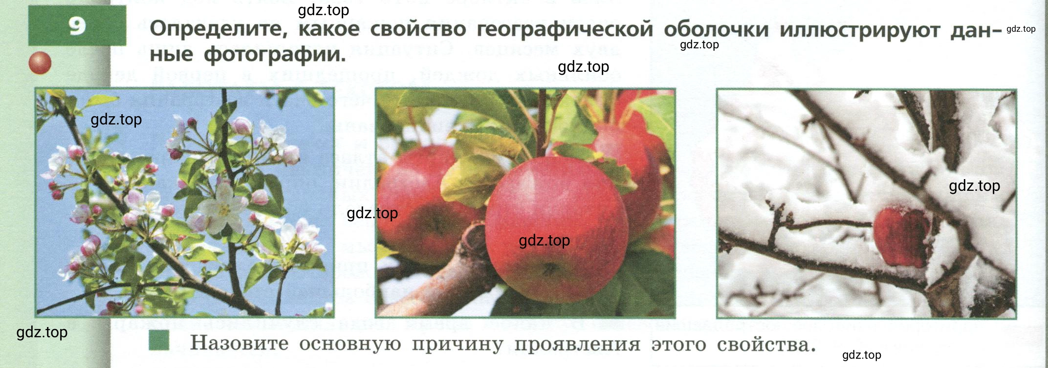 Условие номер 9 (страница 58) гдз по географии 7 класс Кузнецов, Савельева, учебник