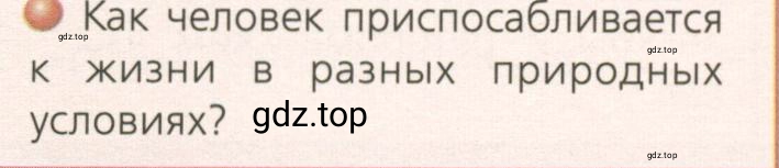 Условие номер 4 (страница 67) гдз по географии 7 класс Кузнецов, Савельева, учебник