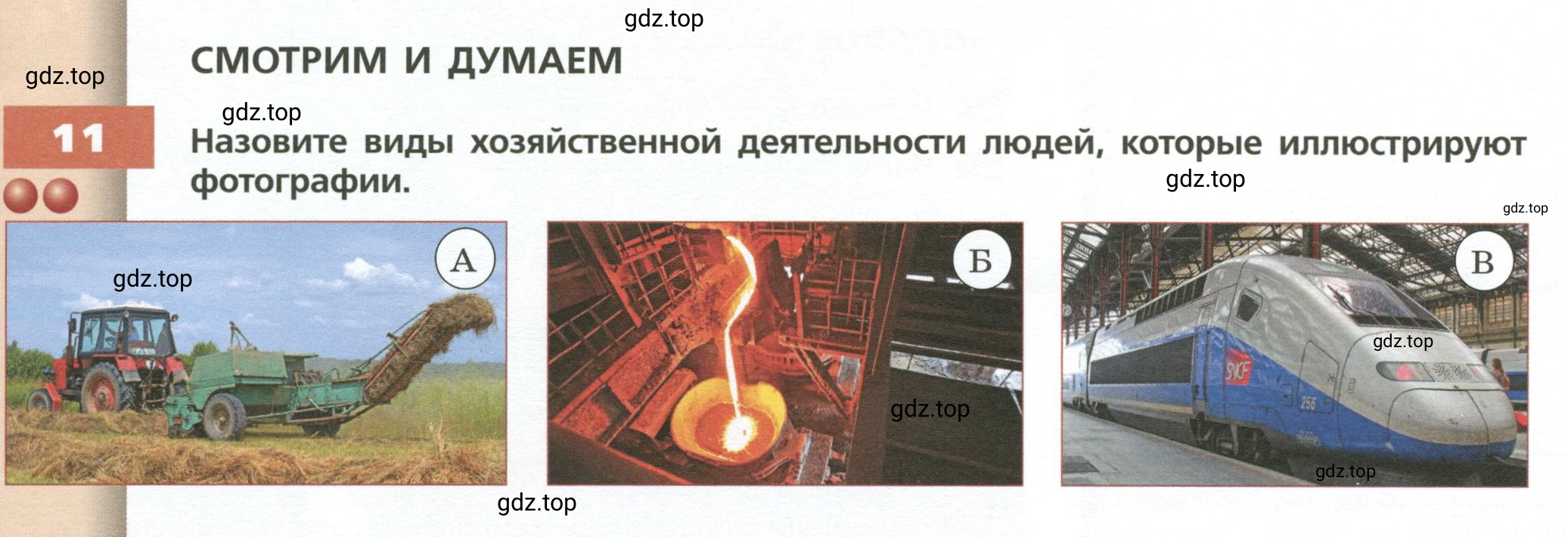 Условие номер 11 (страница 81) гдз по географии 7 класс Кузнецов, Савельева, учебник