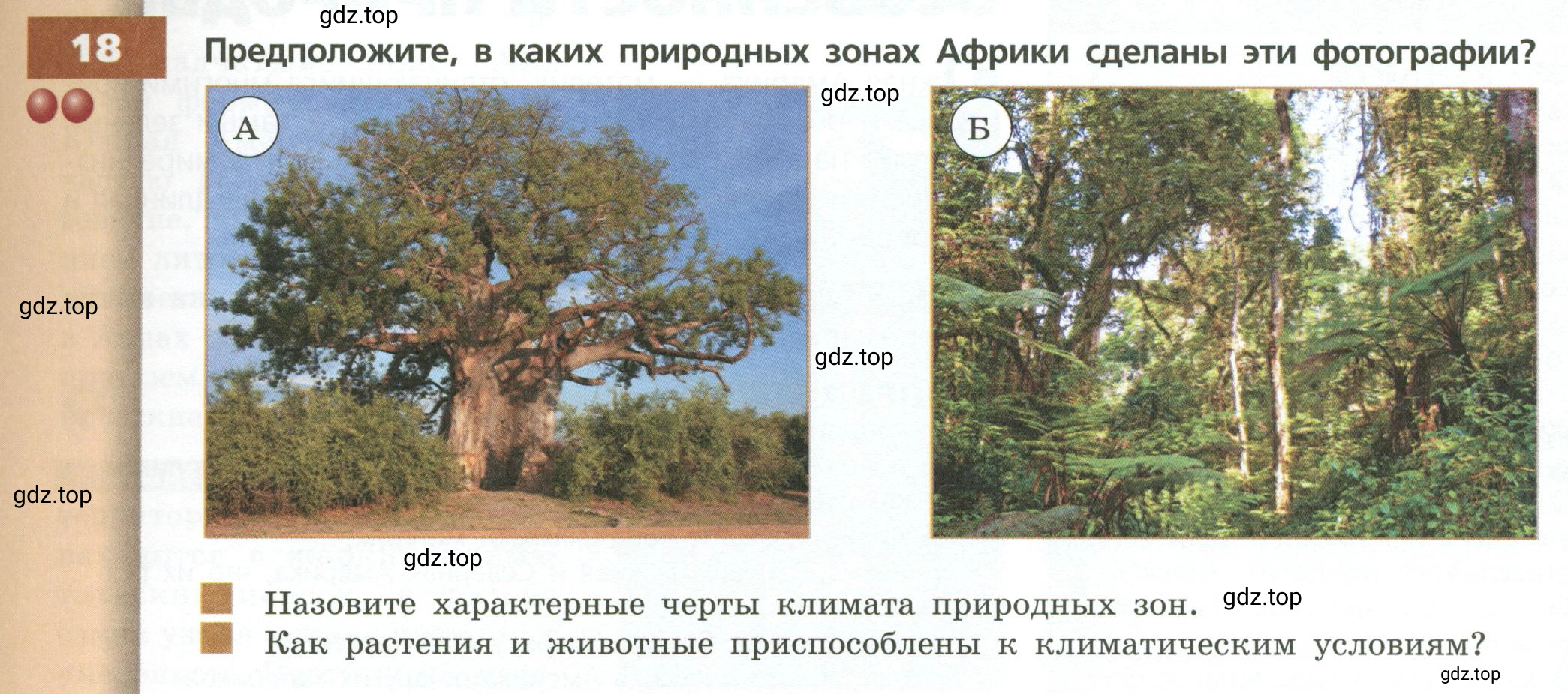 Условие номер 18 (страница 103) гдз по географии 7 класс Кузнецов, Савельева, учебник