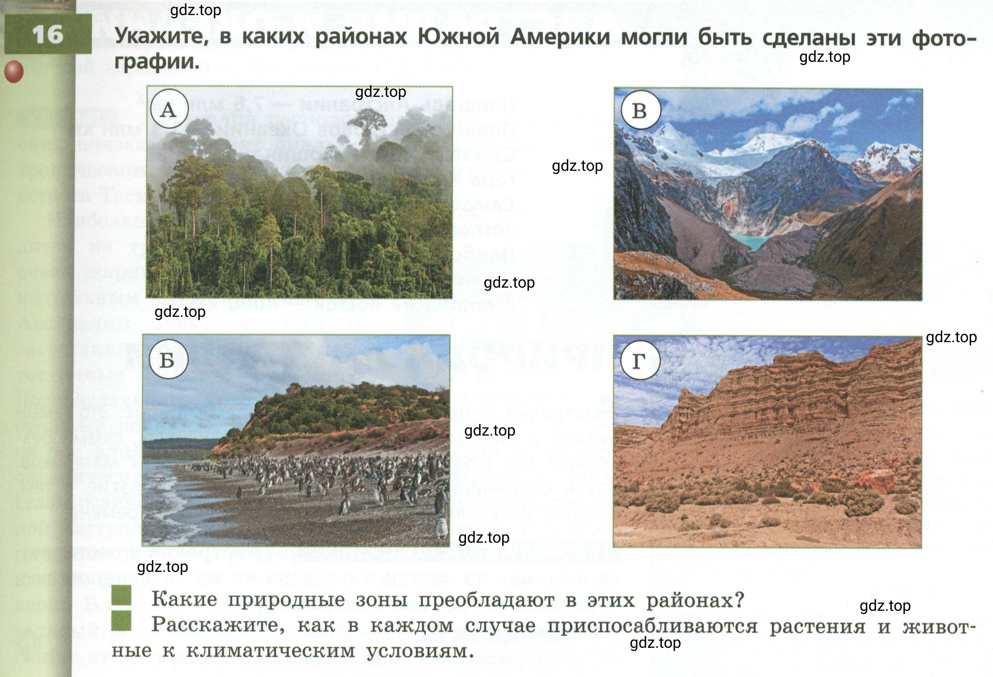 Условие номер 16 (страница 125) гдз по географии 7 класс Кузнецов, Савельева, учебник