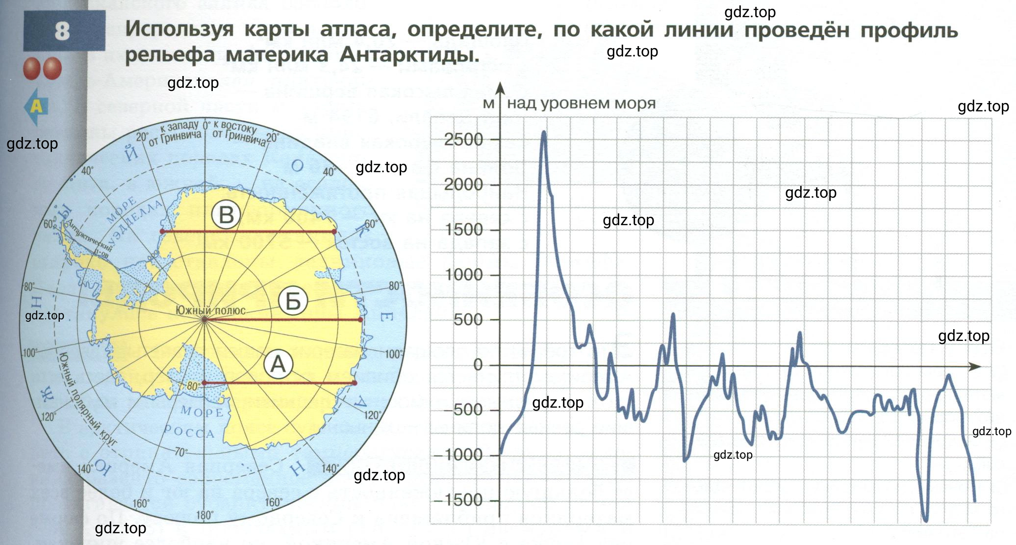 Условие номер 8 (страница 145) гдз по географии 7 класс Кузнецов, Савельева, учебник