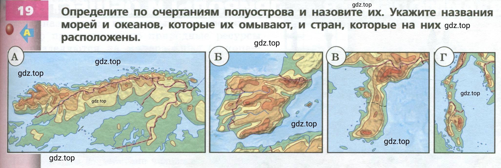 Условие номер 19 (страница 211) гдз по географии 7 класс Кузнецов, Савельева, учебник