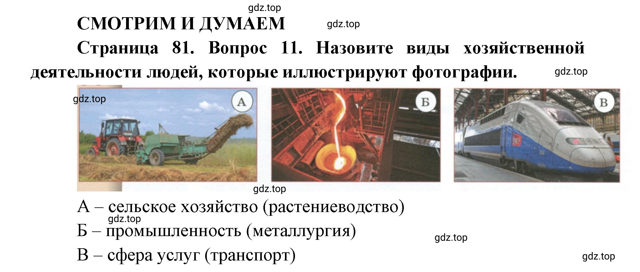 Решение номер 11 (страница 81) гдз по географии 7 класс Кузнецов, Савельева, учебник