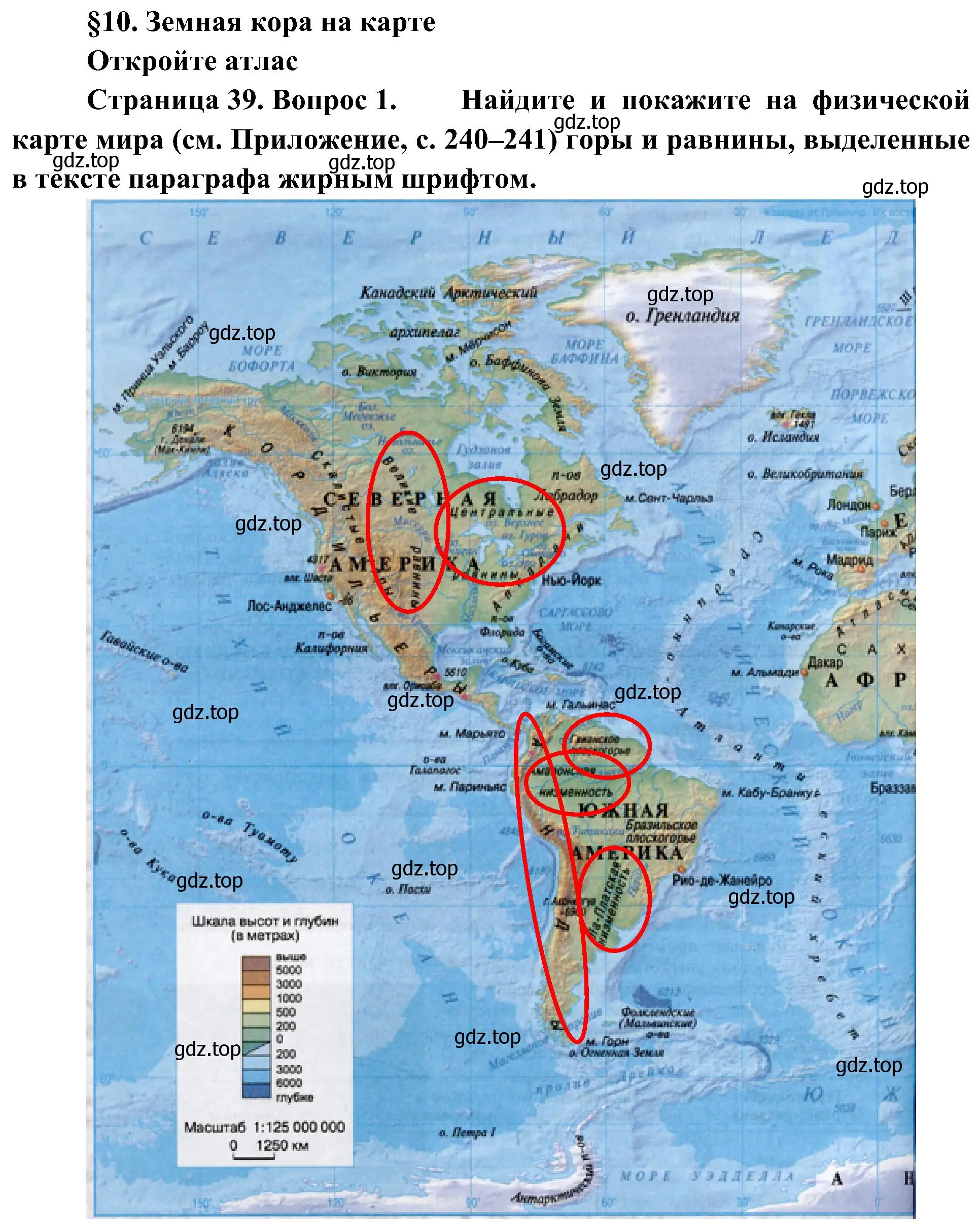 Решение номер 1 (страница 39) гдз по географии 7 класс Алексеев, Николина, учебник