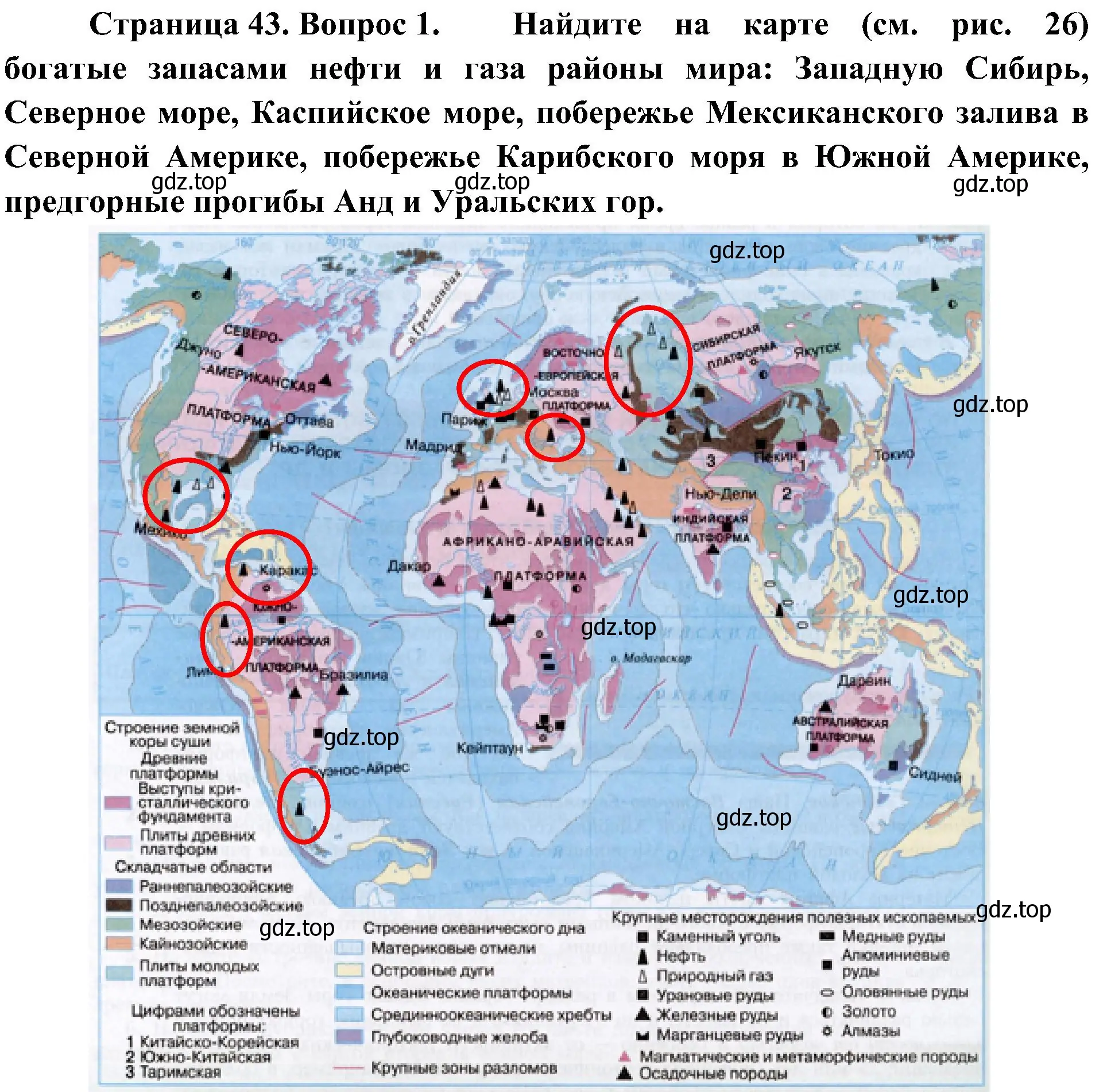 Решение номер 1 (страница 43) гдз по географии 7 класс Алексеев, Николина, учебник