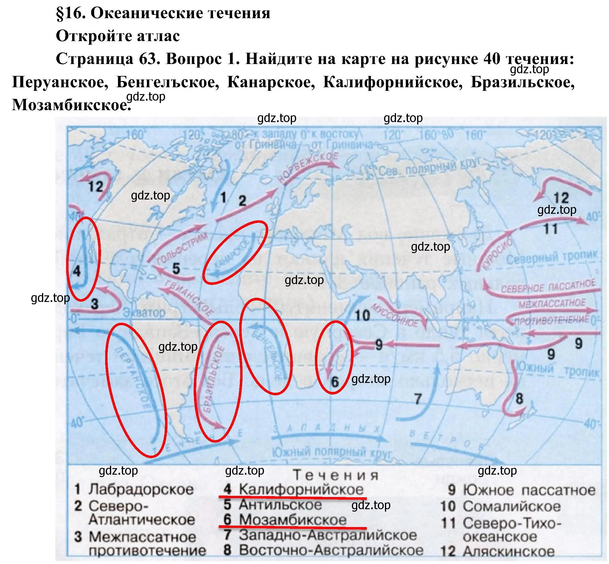 Решение номер 1 (страница 63) гдз по географии 7 класс Алексеев, Николина, учебник