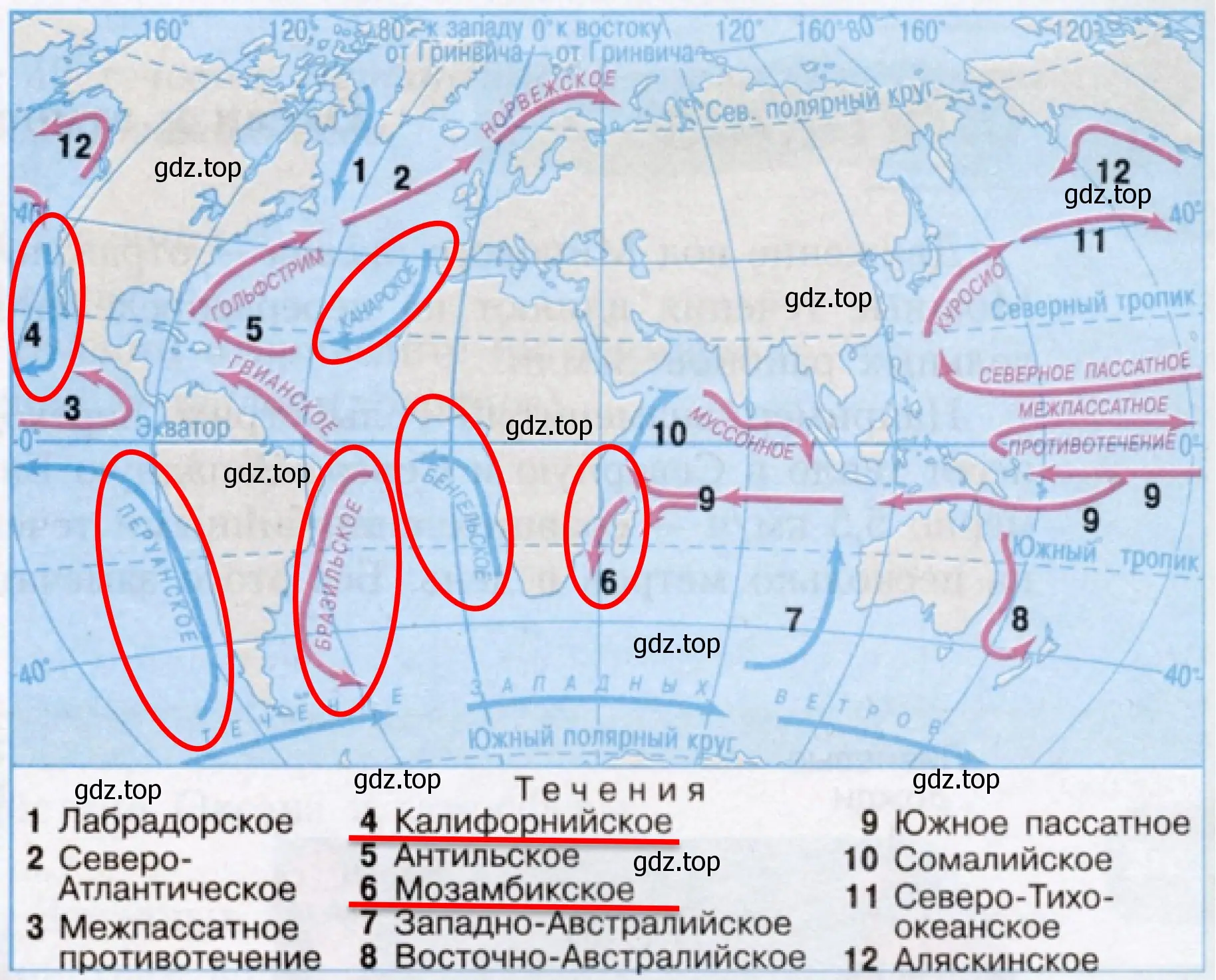 На рисунке обведены течения Мирового океана: Перуанское, Бенгелъское, Канарское, Калифорнийское, Бразильское, Мозамбикское.