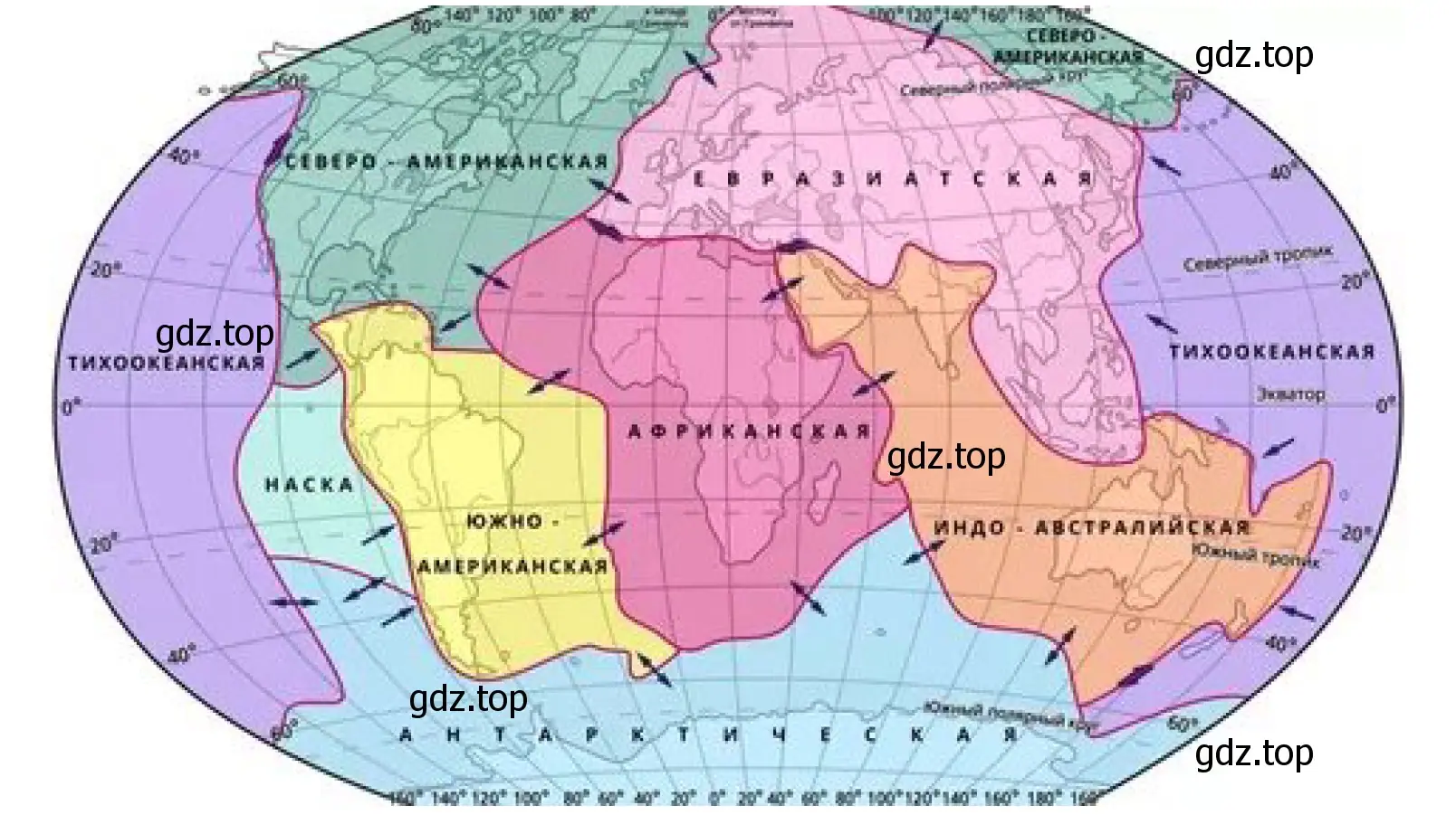 Карта. Расположение литосферных плит.