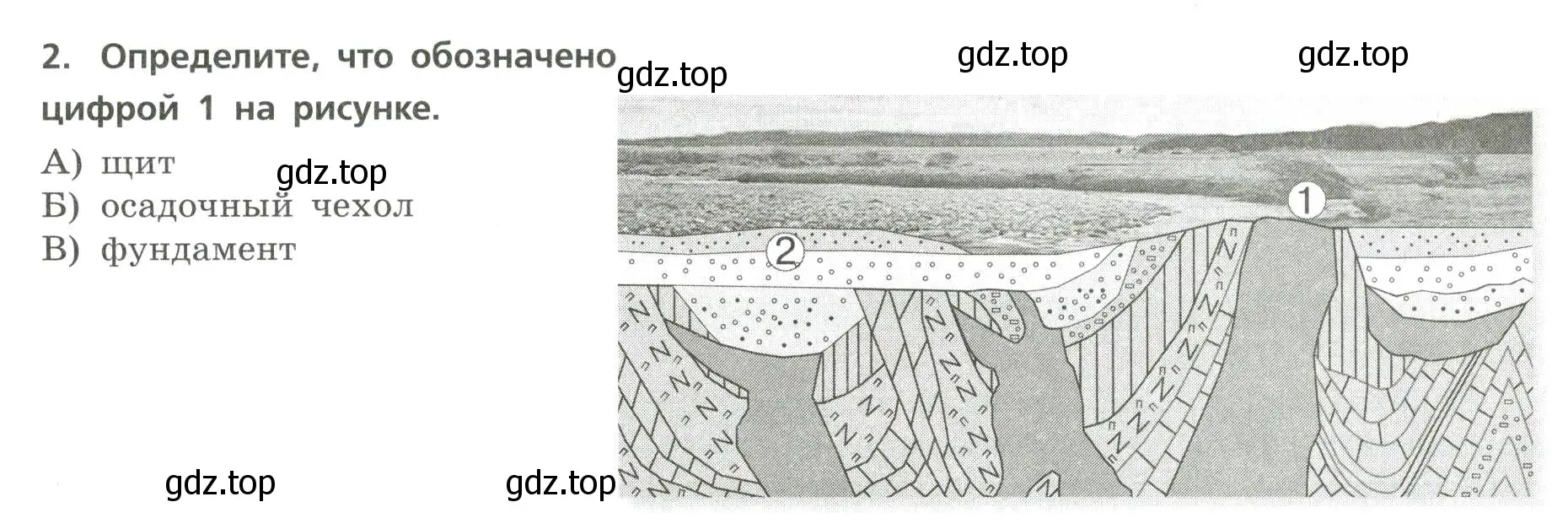 Условие номер 2 (страница 8) гдз по географии 7 класс Бондарева, Шидловский, проверочные работы