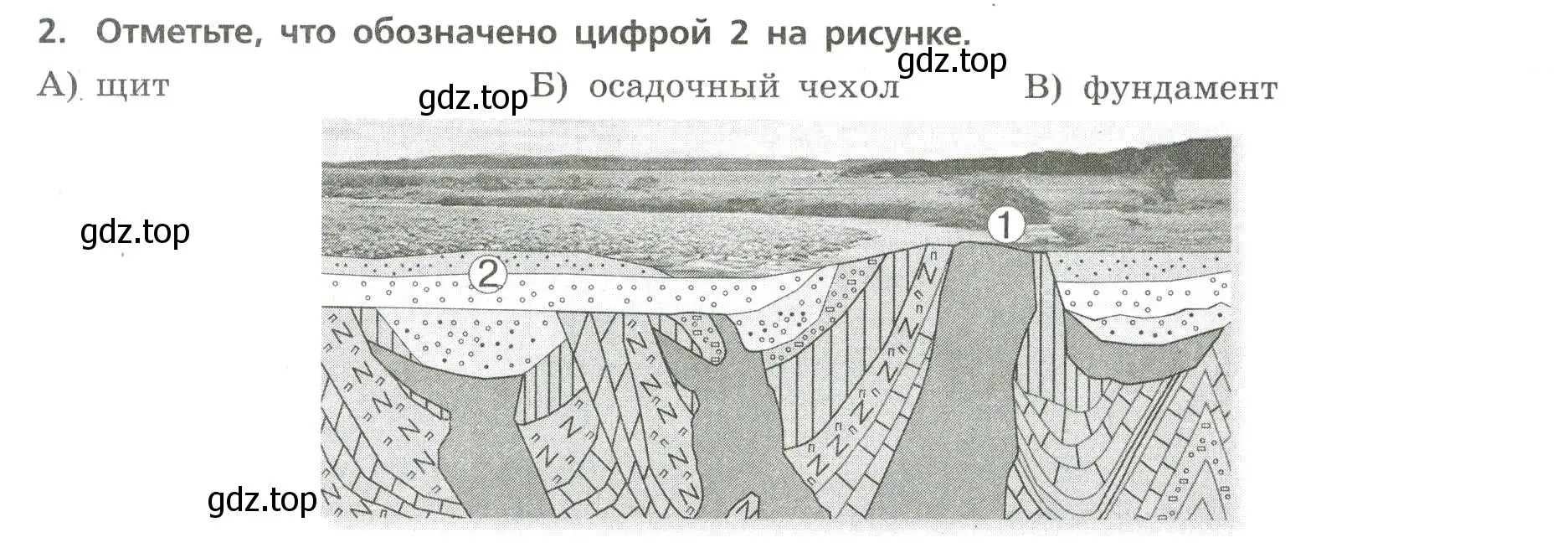 Условие номер 2 (страница 11) гдз по географии 7 класс Бондарева, Шидловский, проверочные работы