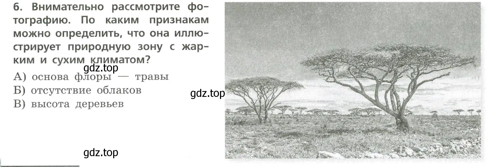 Условие номер 6 (страница 18) гдз по географии 7 класс Бондарева, Шидловский, проверочные работы