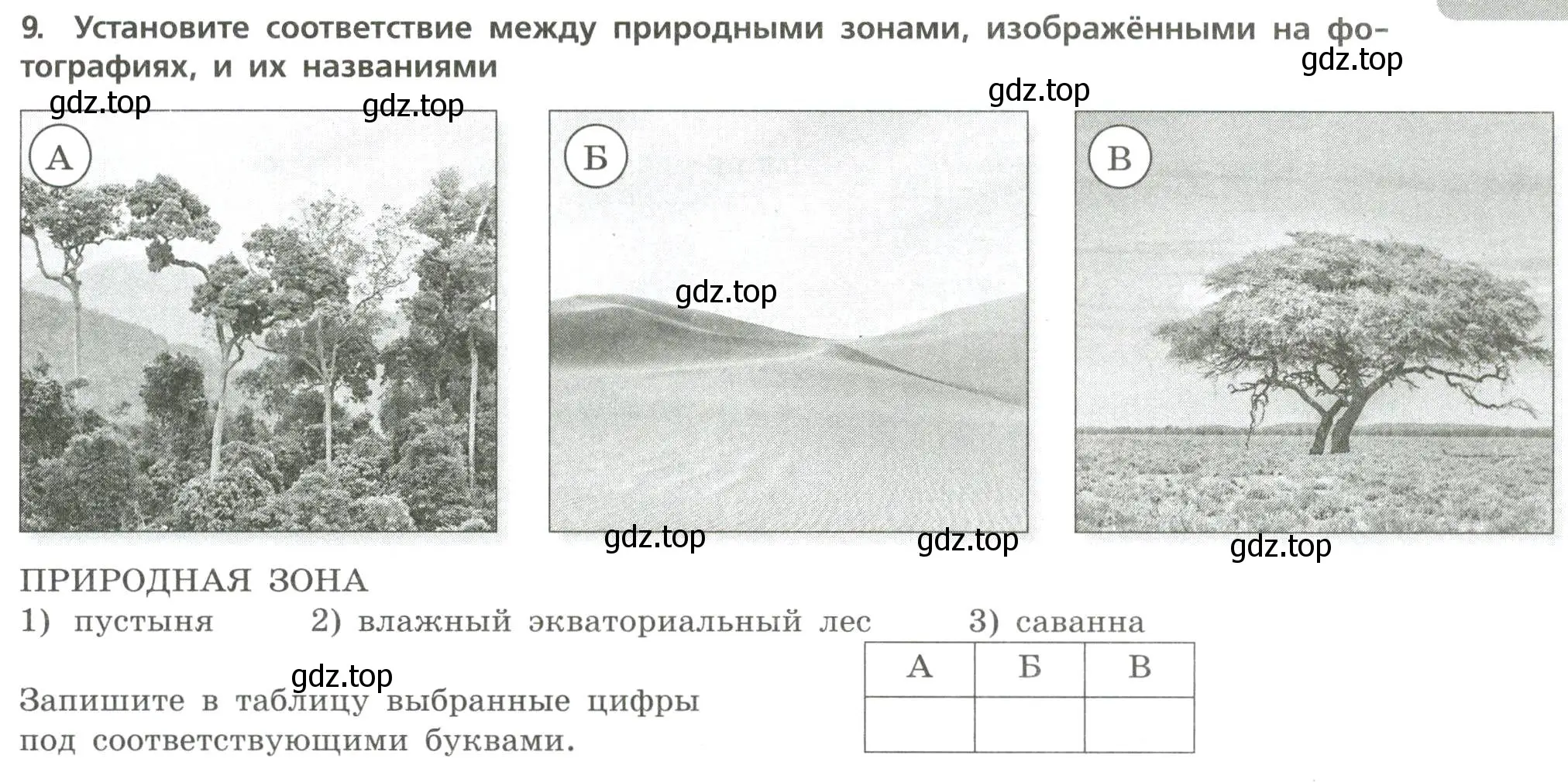 Условие номер 9 (страница 21) гдз по географии 7 класс Бондарева, Шидловский, проверочные работы