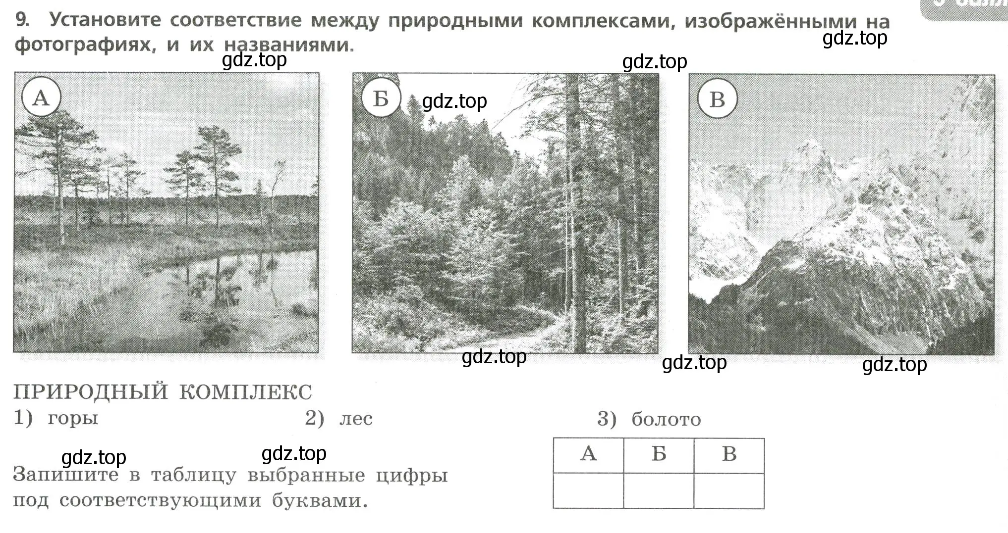 Условие номер 9 (страница 23) гдз по географии 7 класс Бондарева, Шидловский, проверочные работы