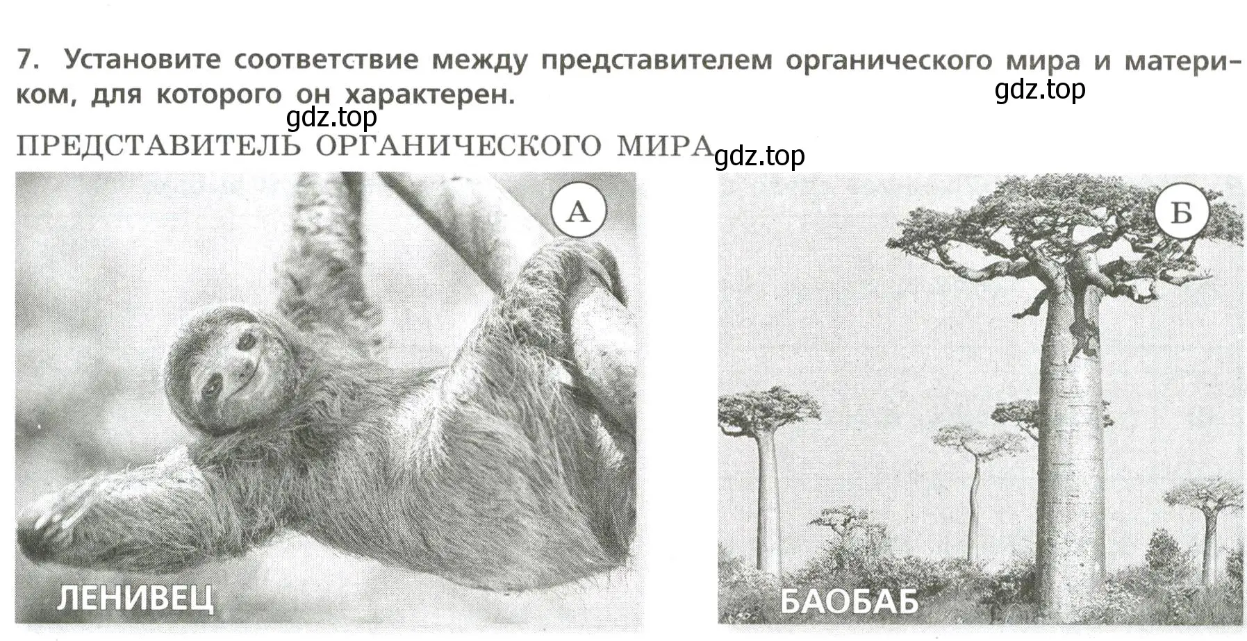 Условие номер 7 (страница 45) гдз по географии 7 класс Бондарева, Шидловский, проверочные работы