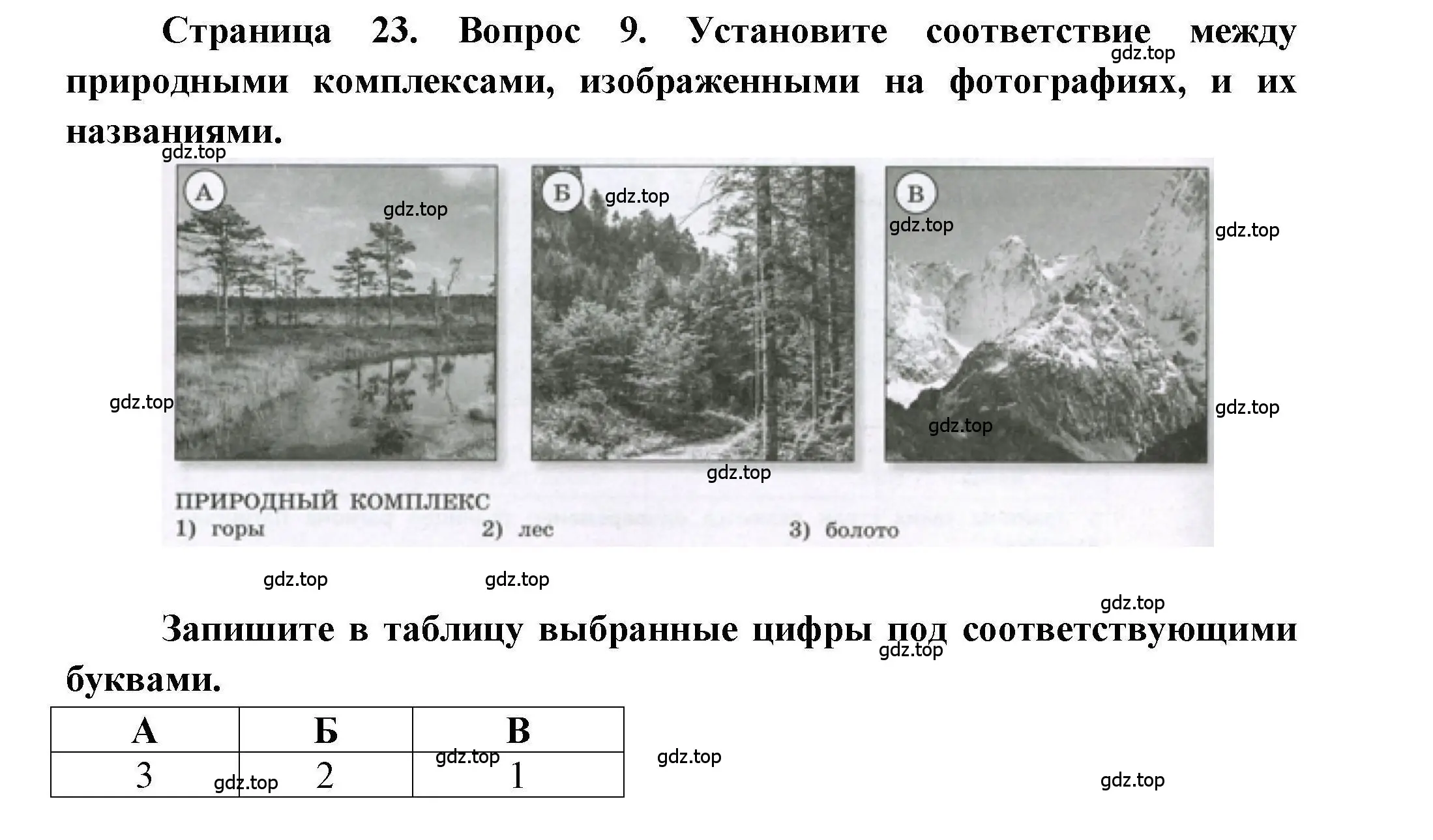 Решение номер 9 (страница 23) гдз по географии 7 класс Бондарева, Шидловский, проверочные работы