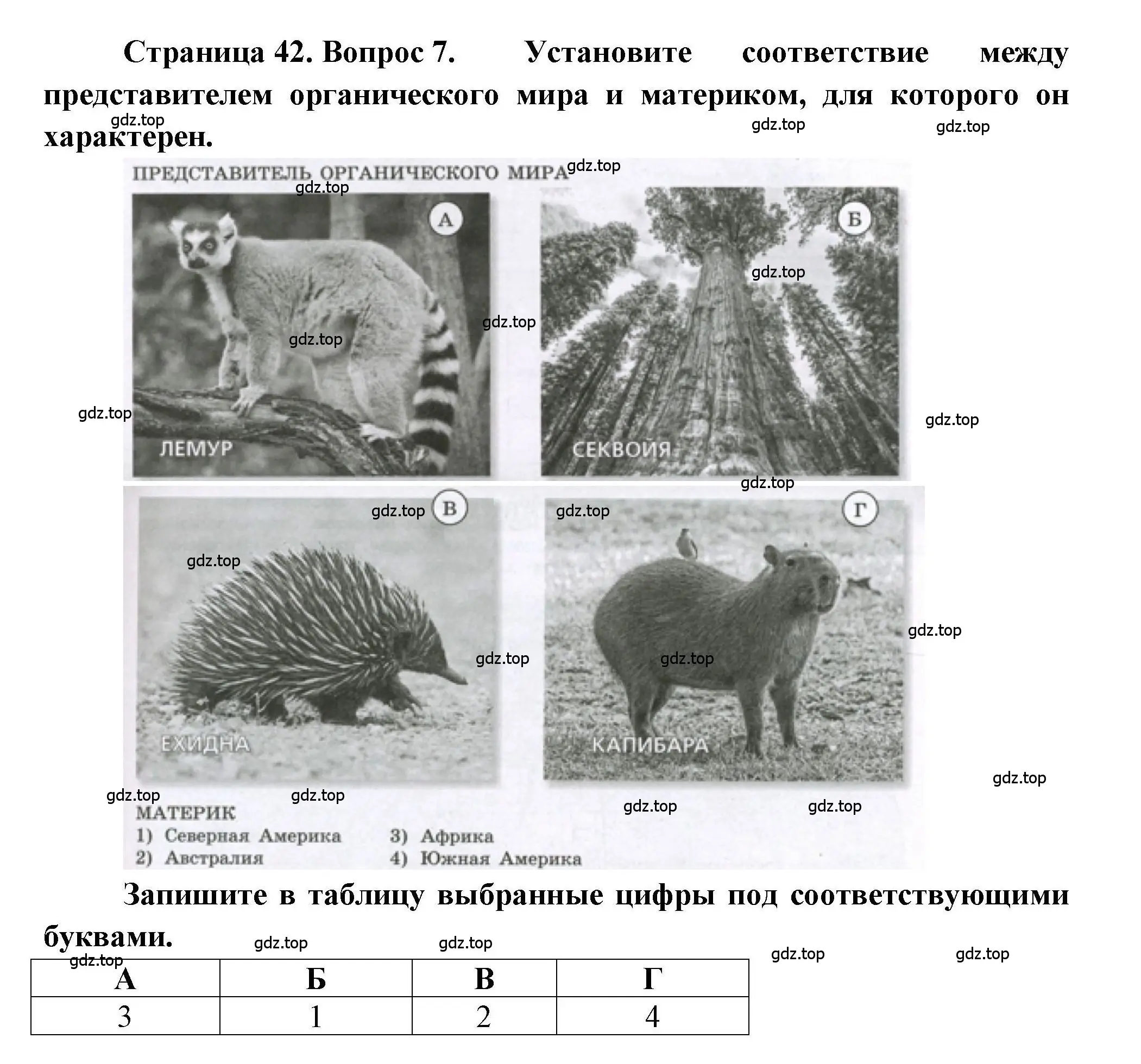 Решение номер 7 (страница 42) гдз по географии 7 класс Бондарева, Шидловский, проверочные работы