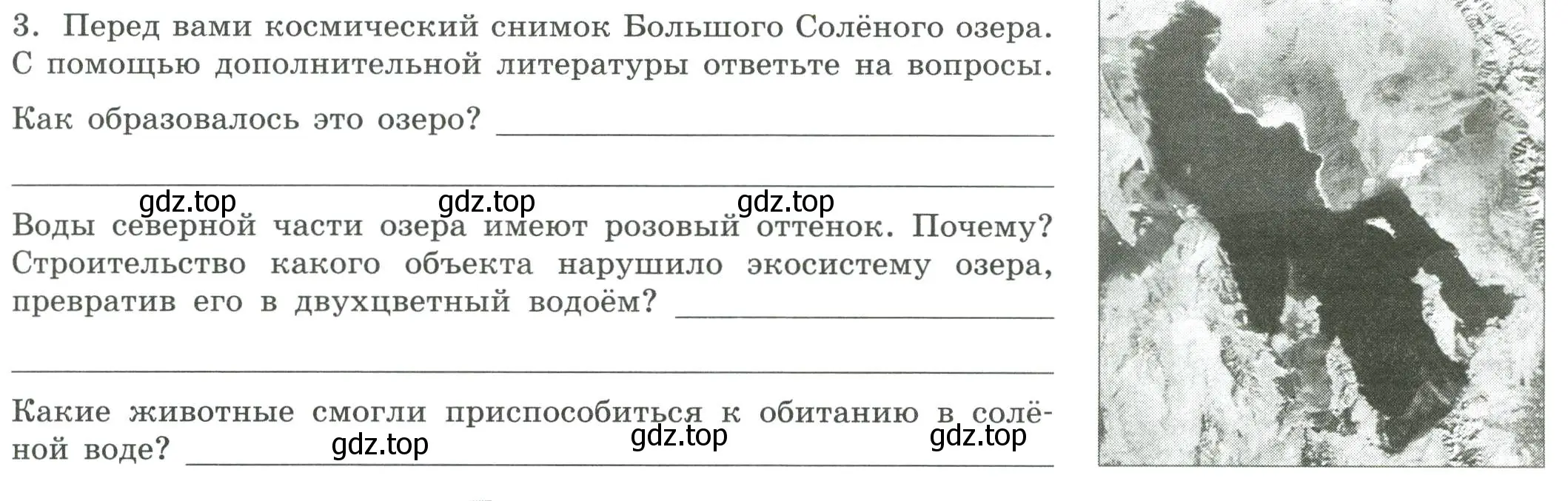 Условие номер 3 (страница 41) гдз по географии 7 класс Дубинина, практические работы