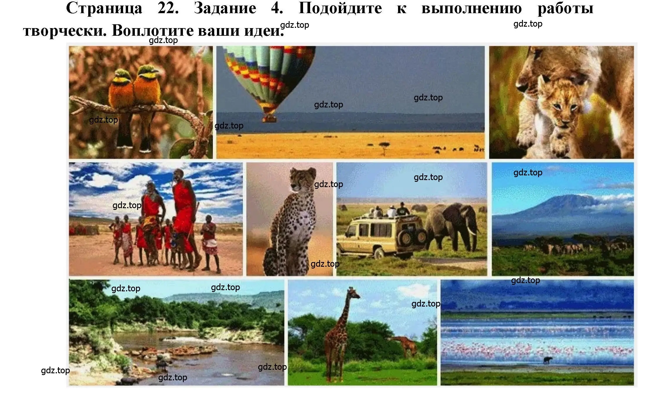 Решение номер 4 (страница 22) гдз по географии 7 класс Дубинина, практические работы