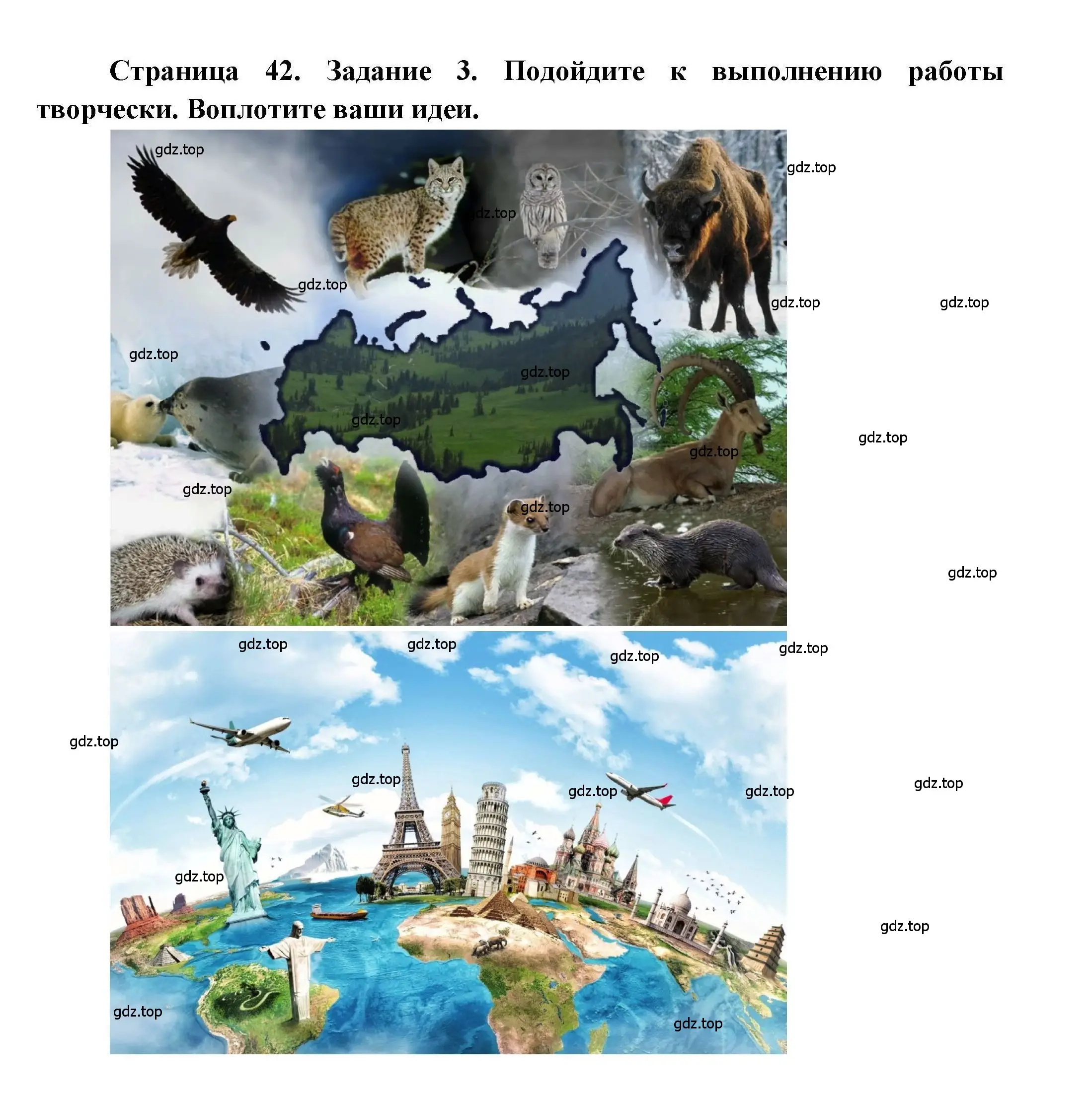 Решение номер 3 (страница 42) гдз по географии 7 класс Дубинина, практические работы