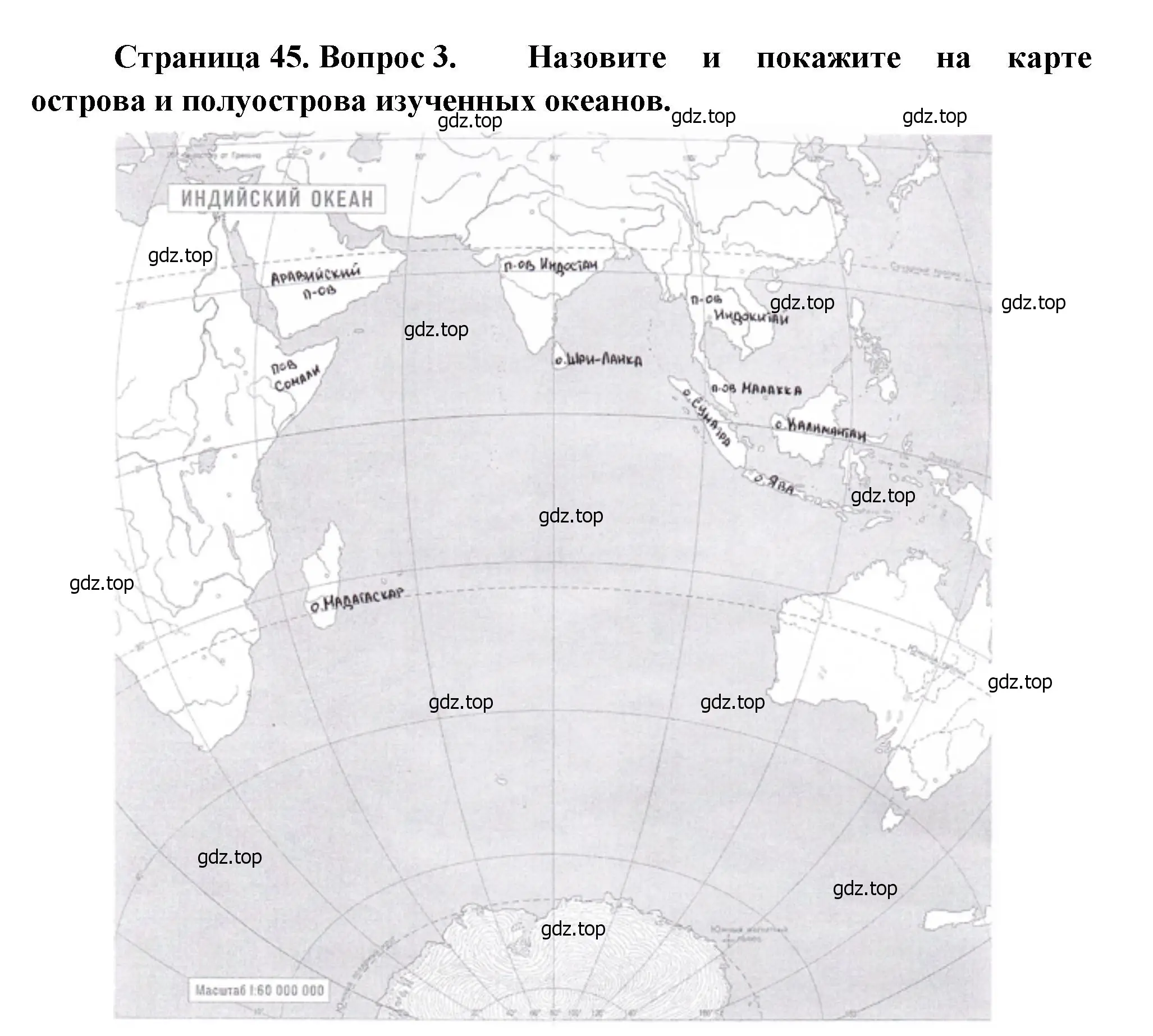 Решение номер 3 (страница 45) гдз по географии 7 класс Душина, Смоктунович, учебник