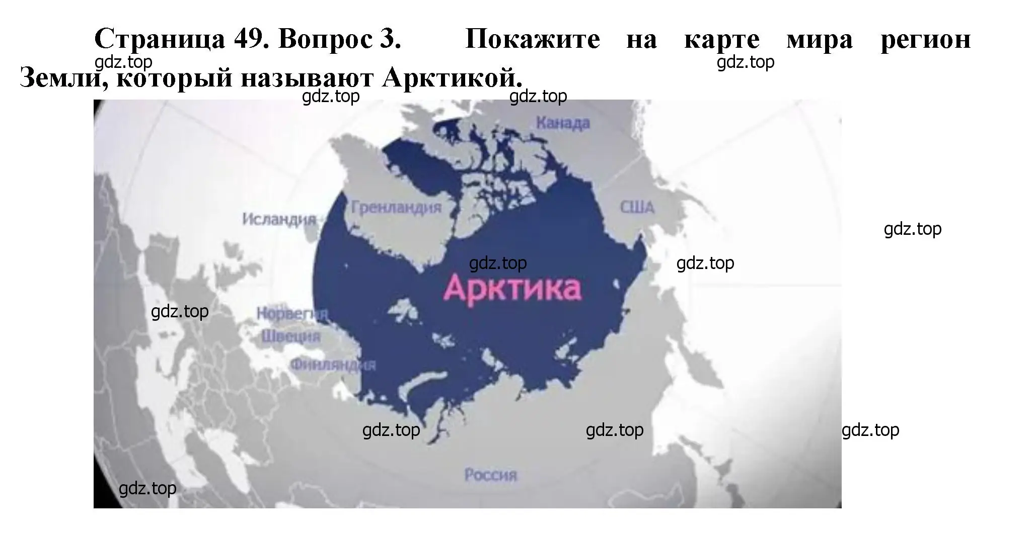 Решение номер 3 (страница 49) гдз по географии 7 класс Душина, Смоктунович, учебник