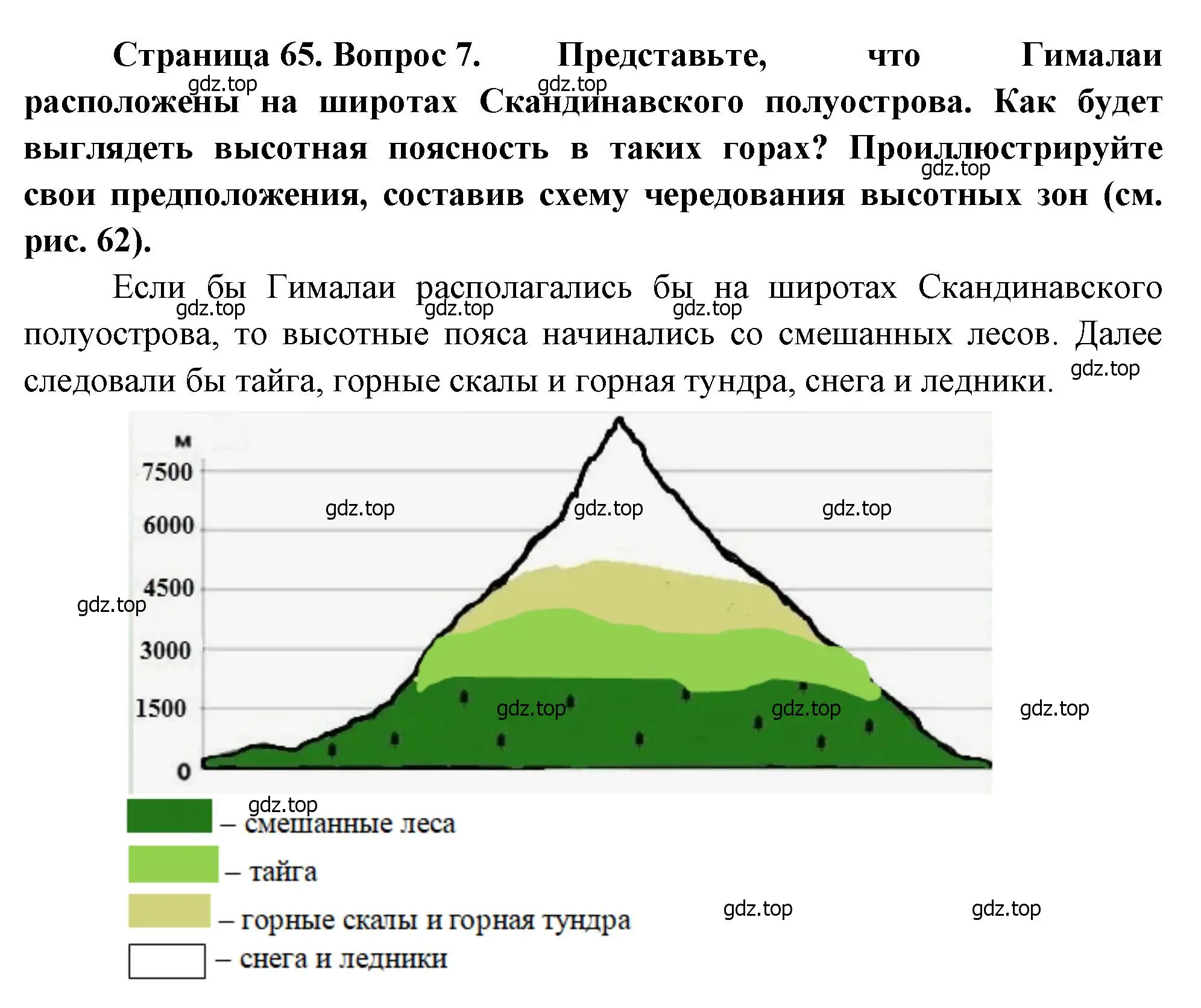 Решение номер 7 (страница 65) гдз по географии 7 класс Душина, Смоктунович, учебник