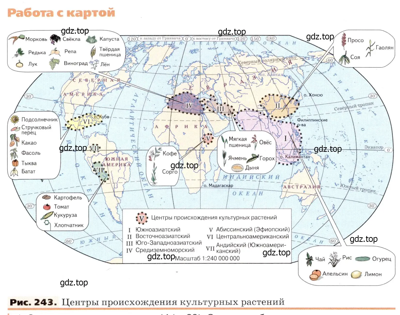 Условие номер 1 (страница 304) гдз по географии 7 класс Климанова, Климанов, учебник