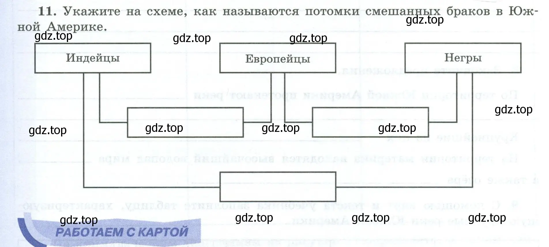 Условие номер 11 (страница 50) гдз по географии 7 класс Николина, мой тренажёр