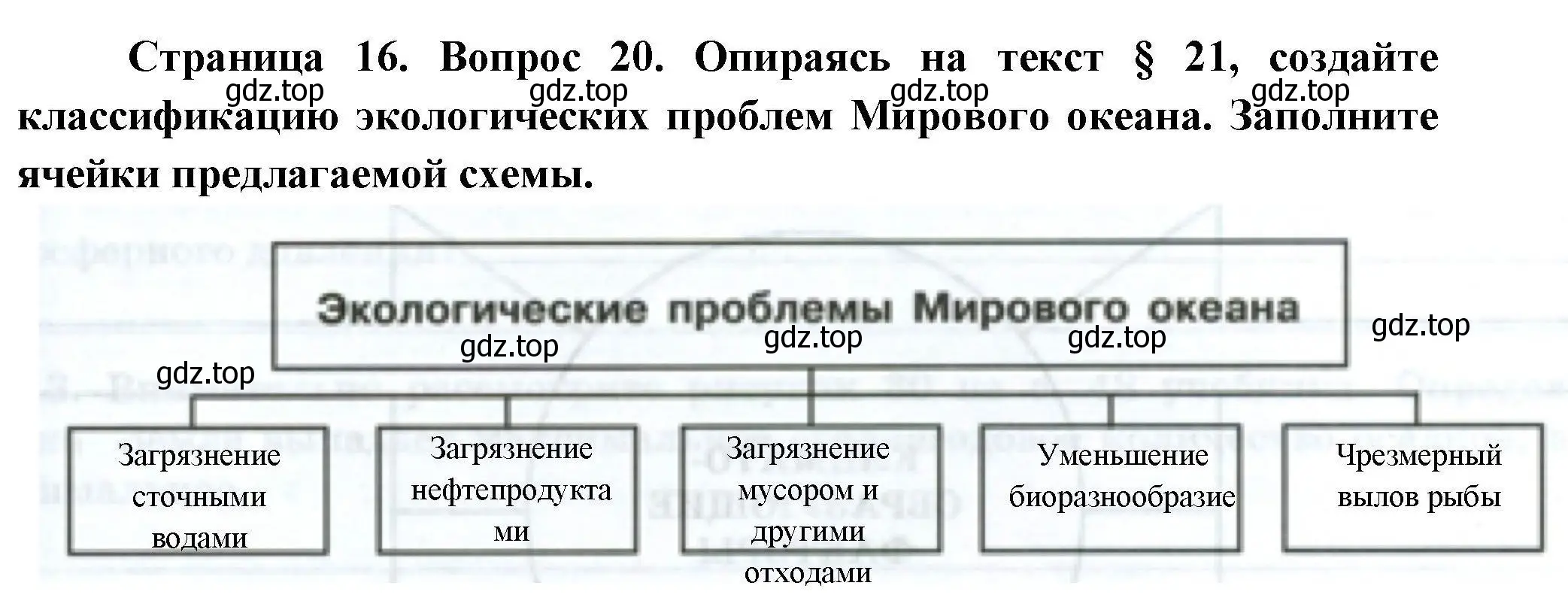 Решение номер 20 (страница 16) гдз по географии 7 класс Николина, мой тренажёр