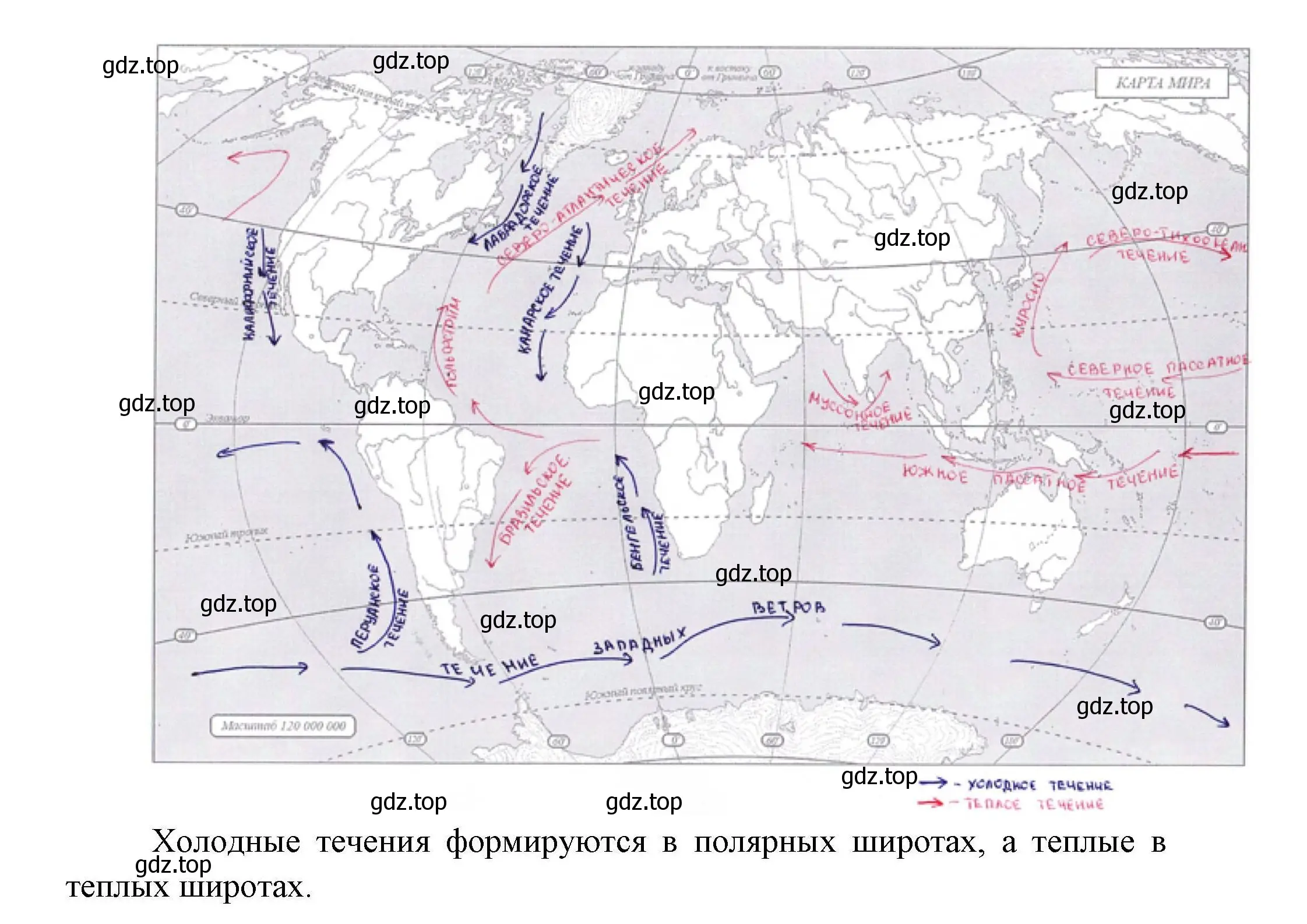 Решение номер 10 (страница 23) гдз по географии 7 класс Николина, мой тренажёр