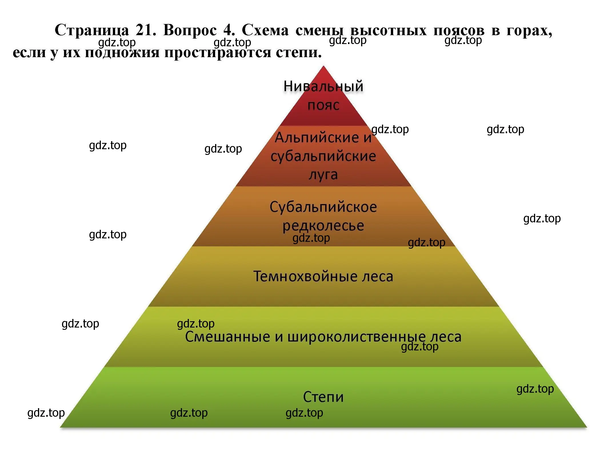 Решение номер 4 (страница 21) гдз по географии 7 класс Николина, мой тренажёр