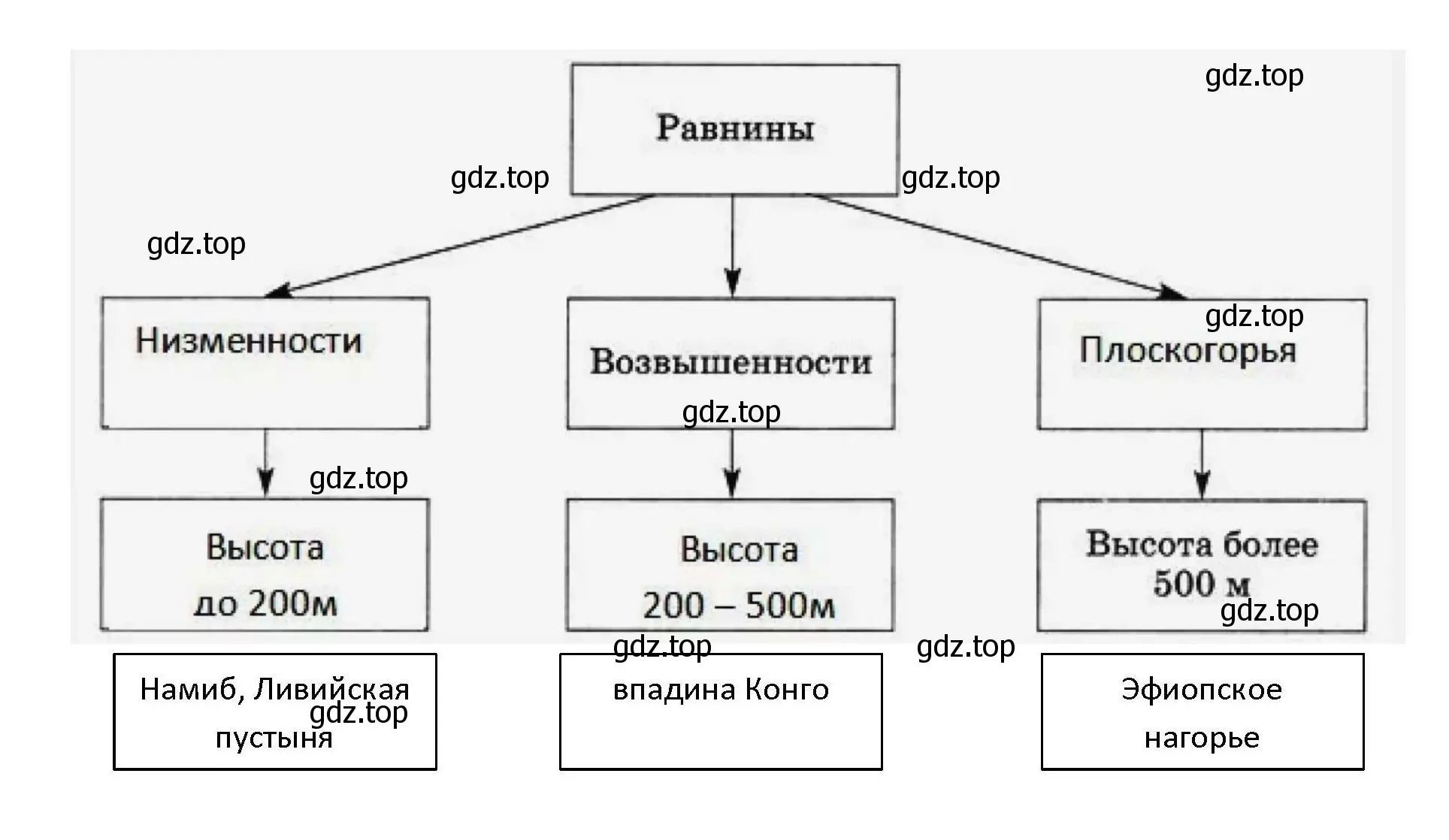 Решение номер 5 (страница 29) гдз по географии 7 класс Николина, мой тренажёр