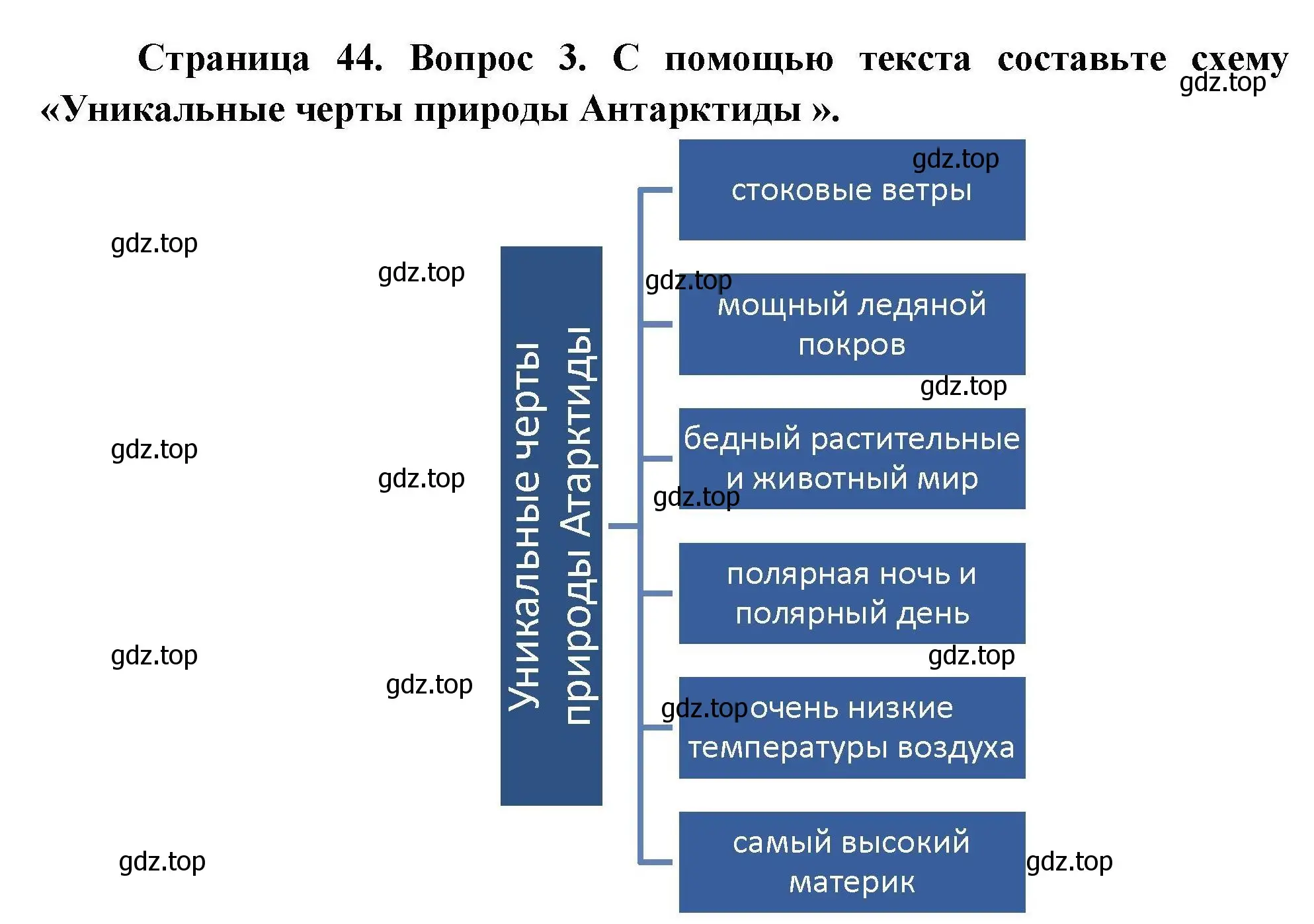 Решение номер 3 (страница 44) гдз по географии 7 класс Николина, мой тренажёр