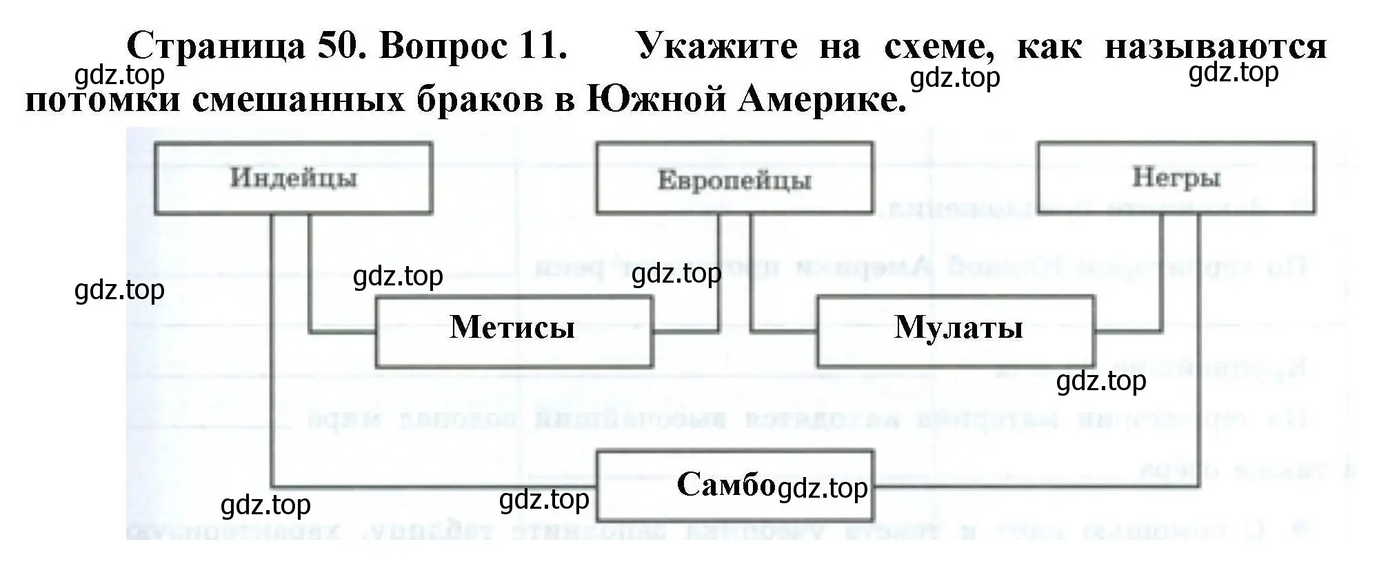 Решение номер 11 (страница 50) гдз по географии 7 класс Николина, мой тренажёр