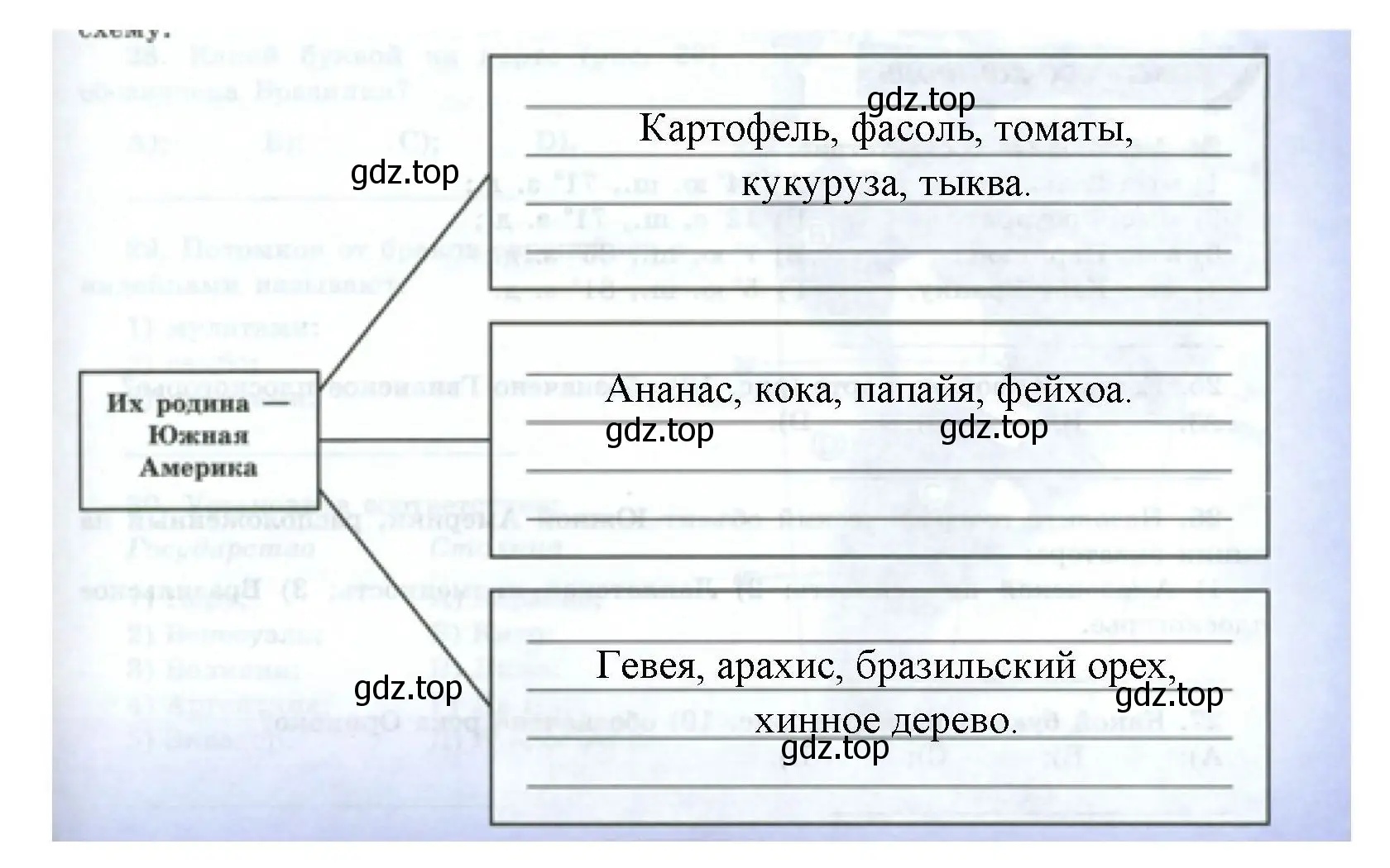 Решение номер 22 (страница 53) гдз по географии 7 класс Николина, мой тренажёр