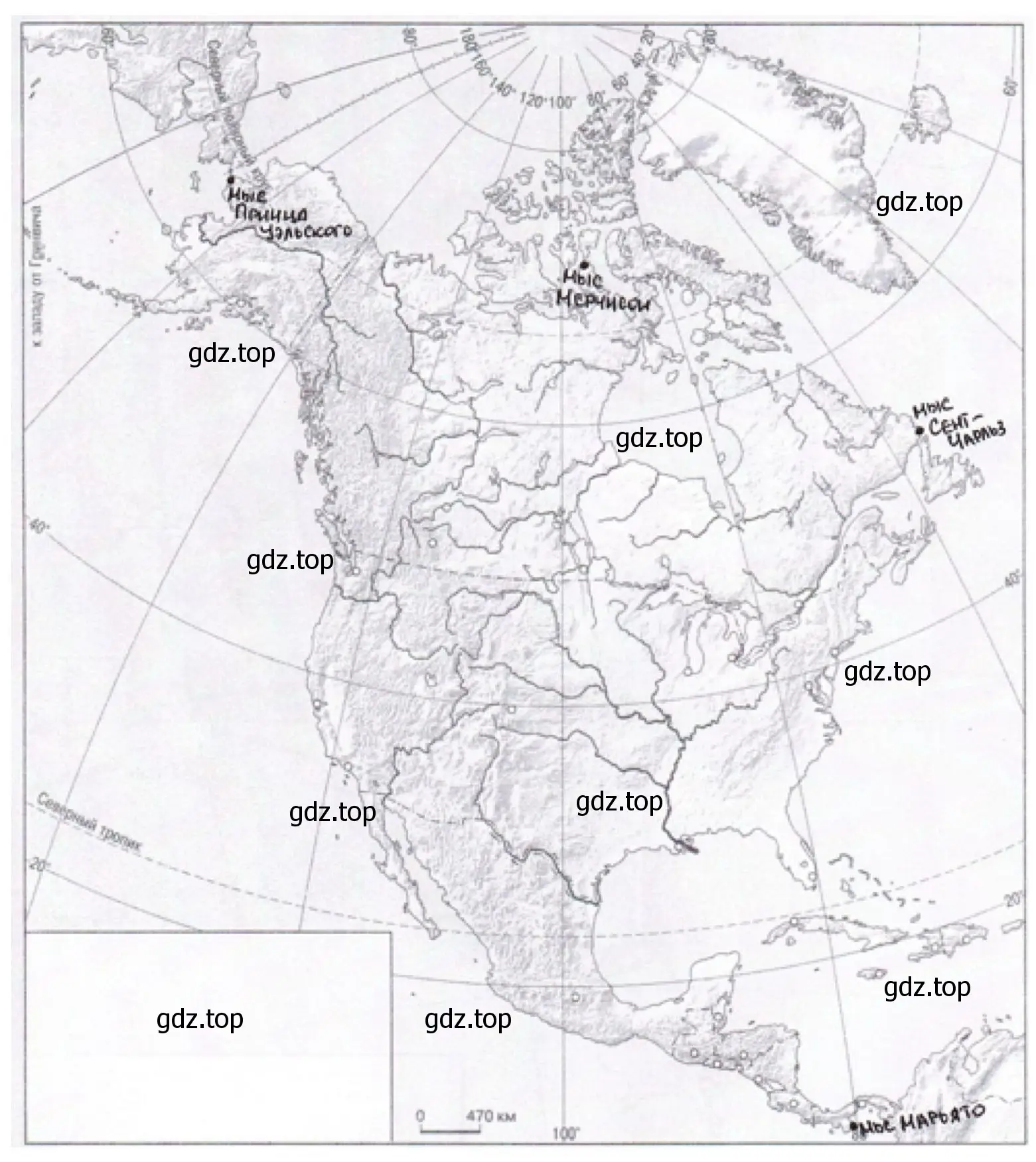 Решение номер 11 (страница 61) гдз по географии 7 класс Николина, мой тренажёр